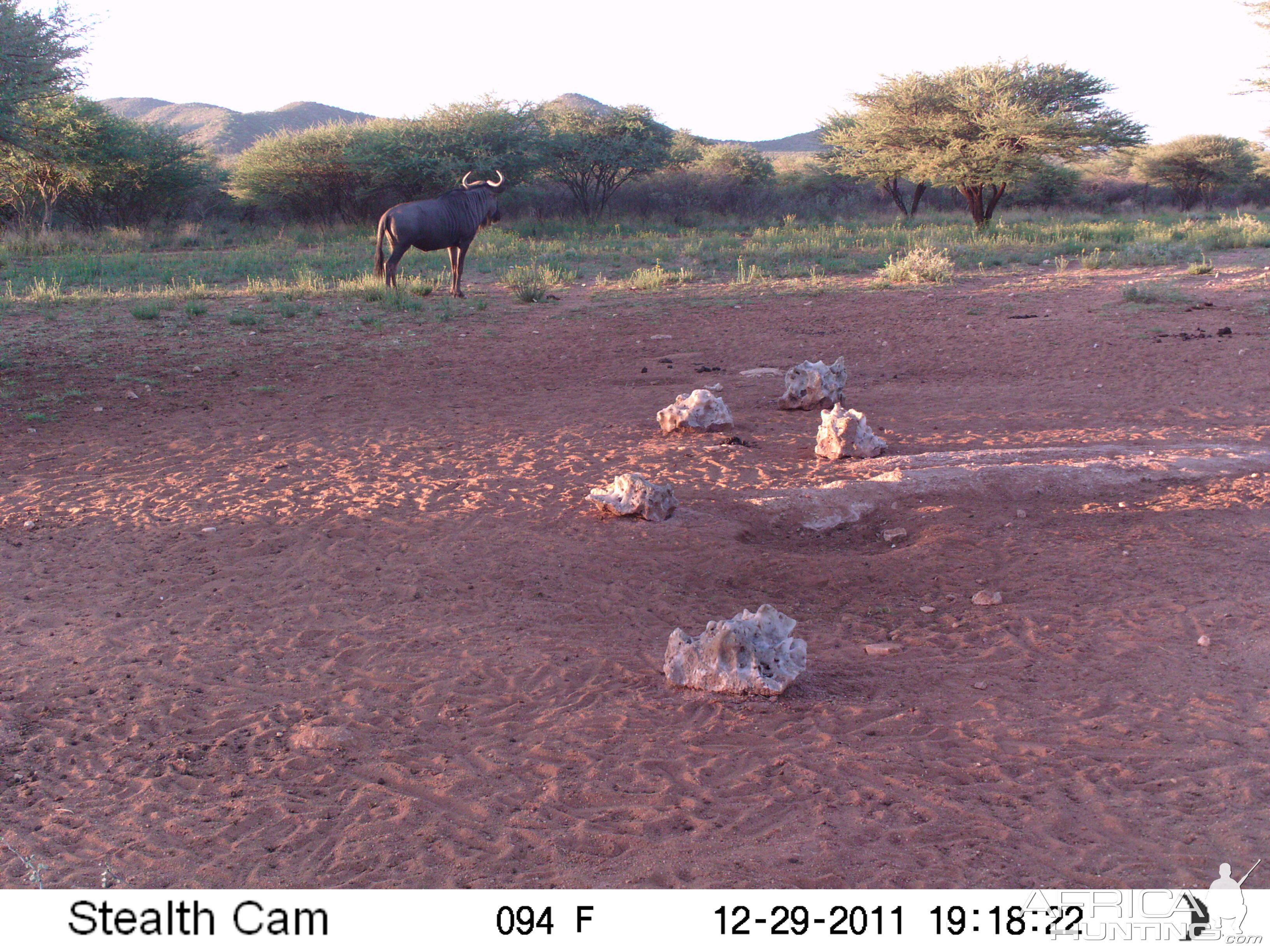 Trail Camera Namibia