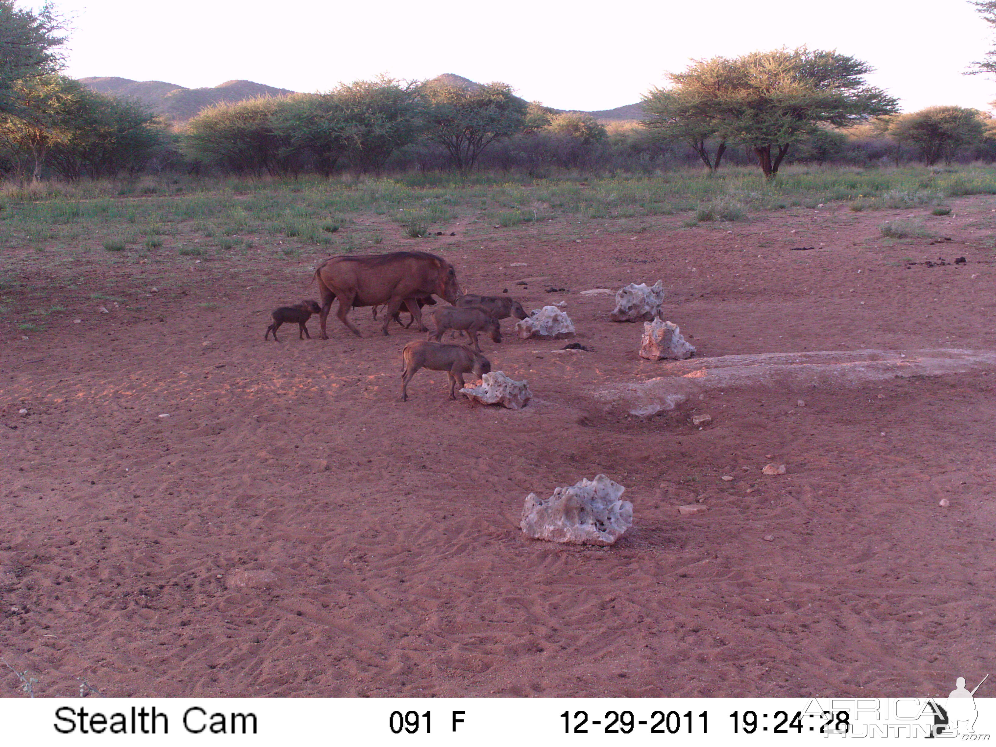 Trail Camera Namibia