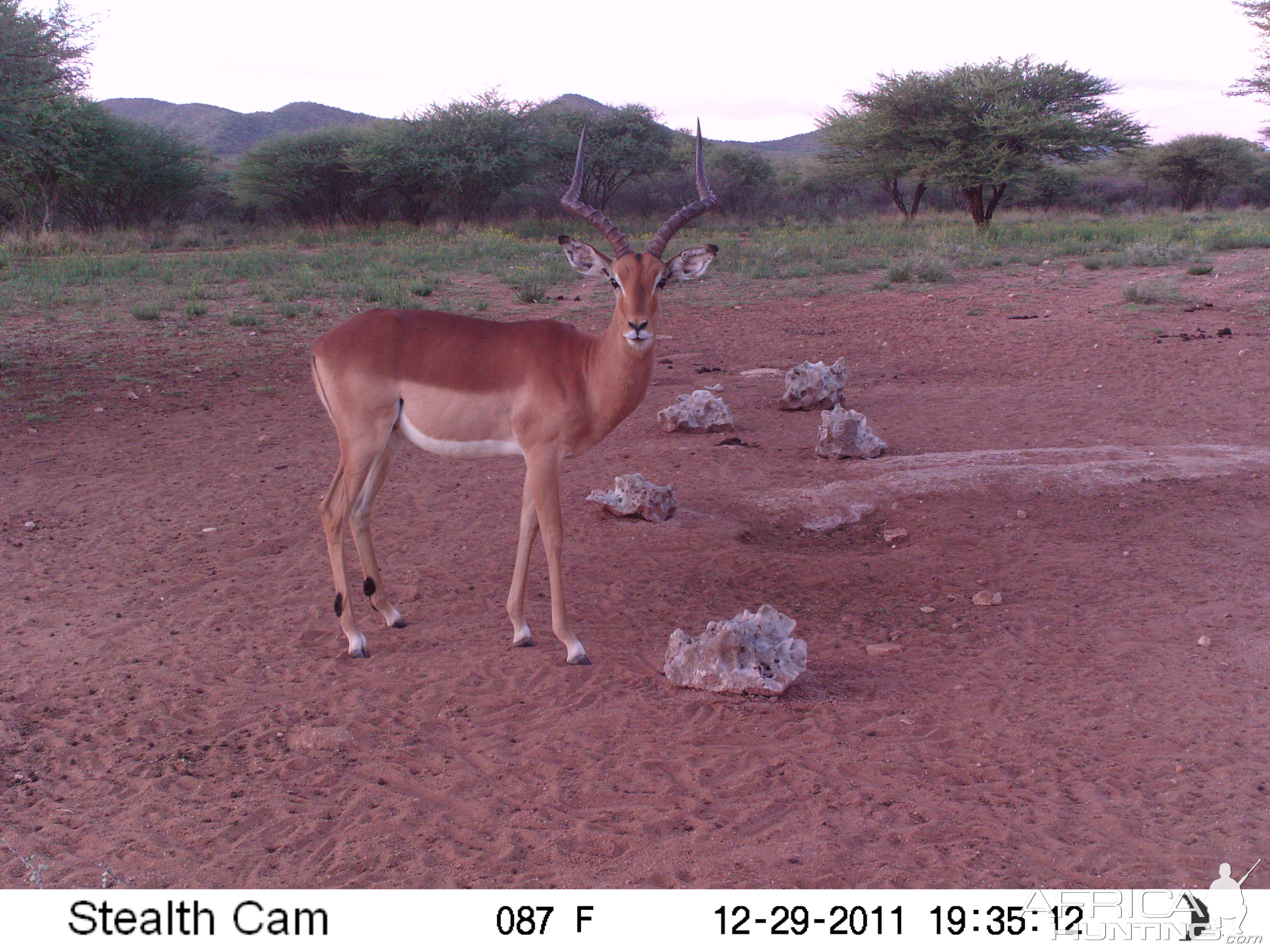 Trail Camera Namibia