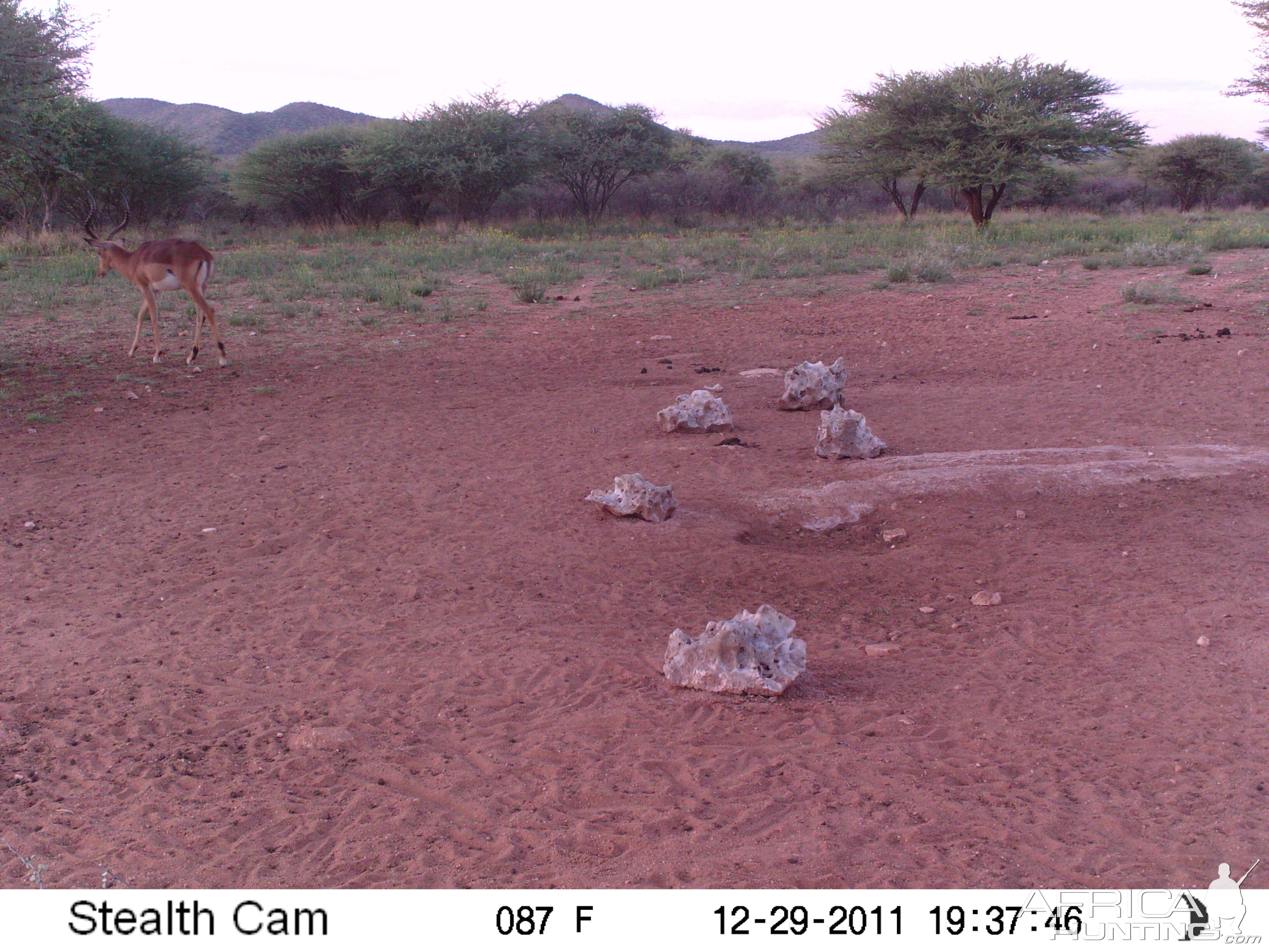 Trail Camera Namibia