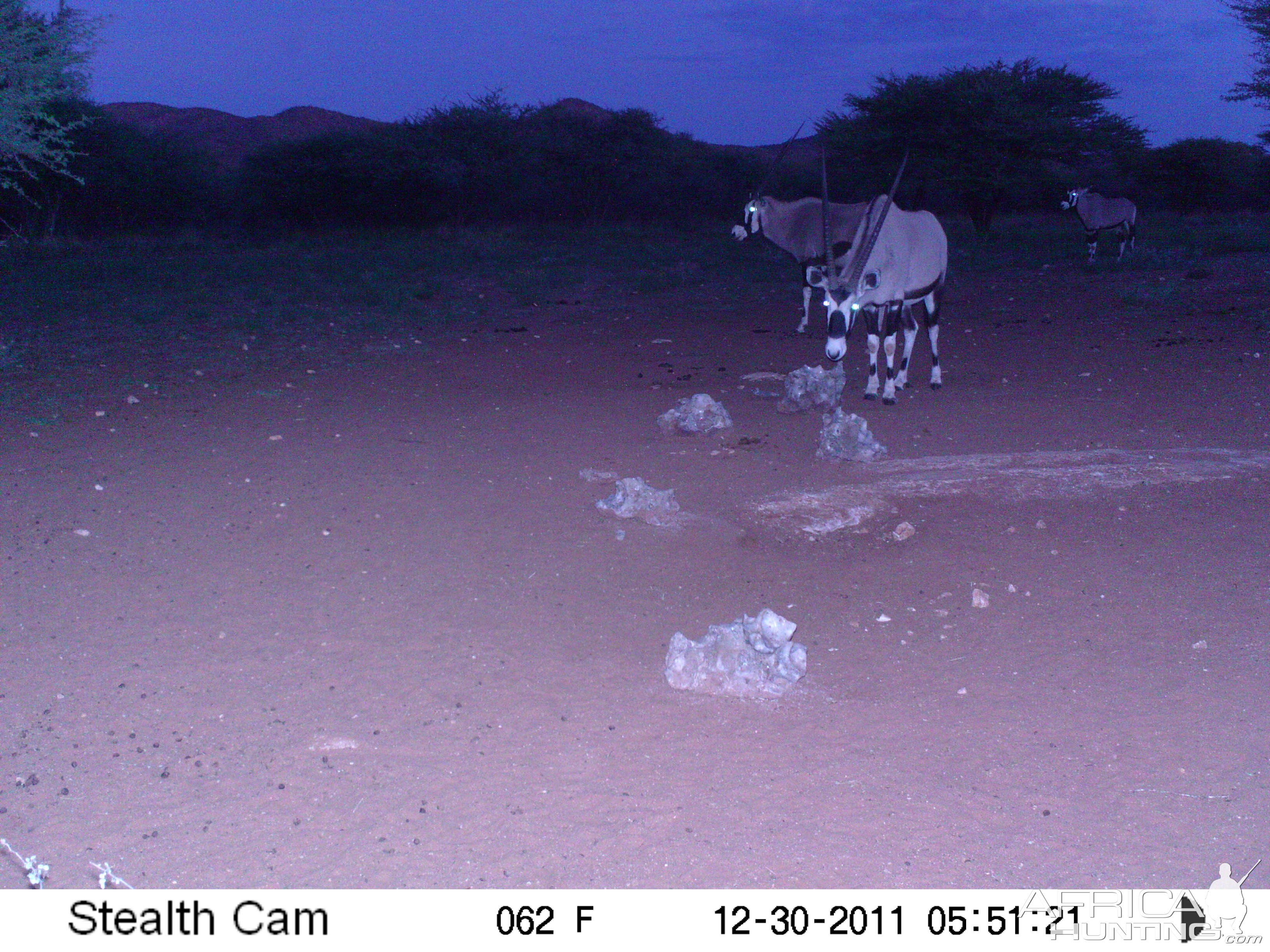 Trail Camera Namibia