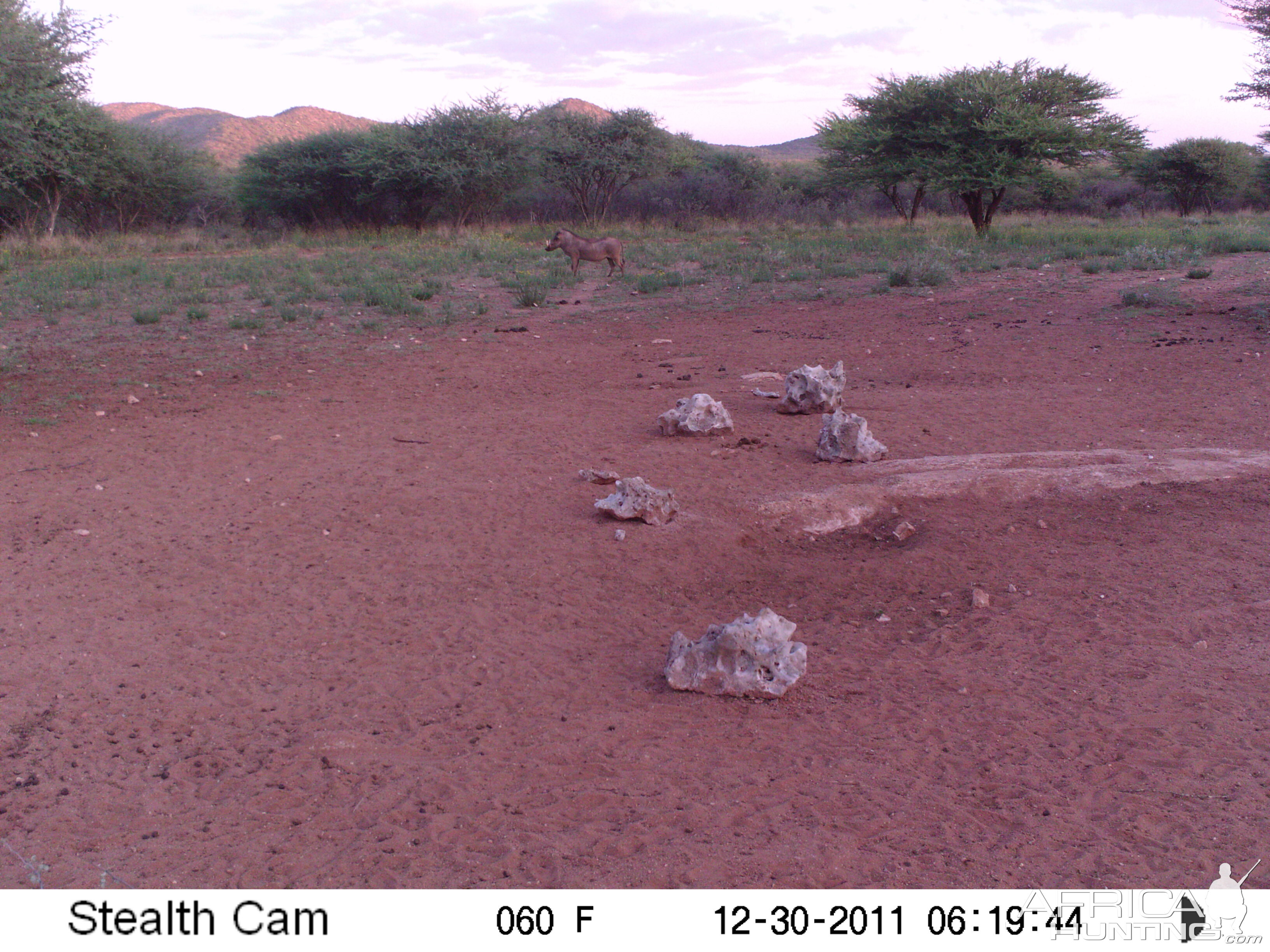 Trail Camera Namibia