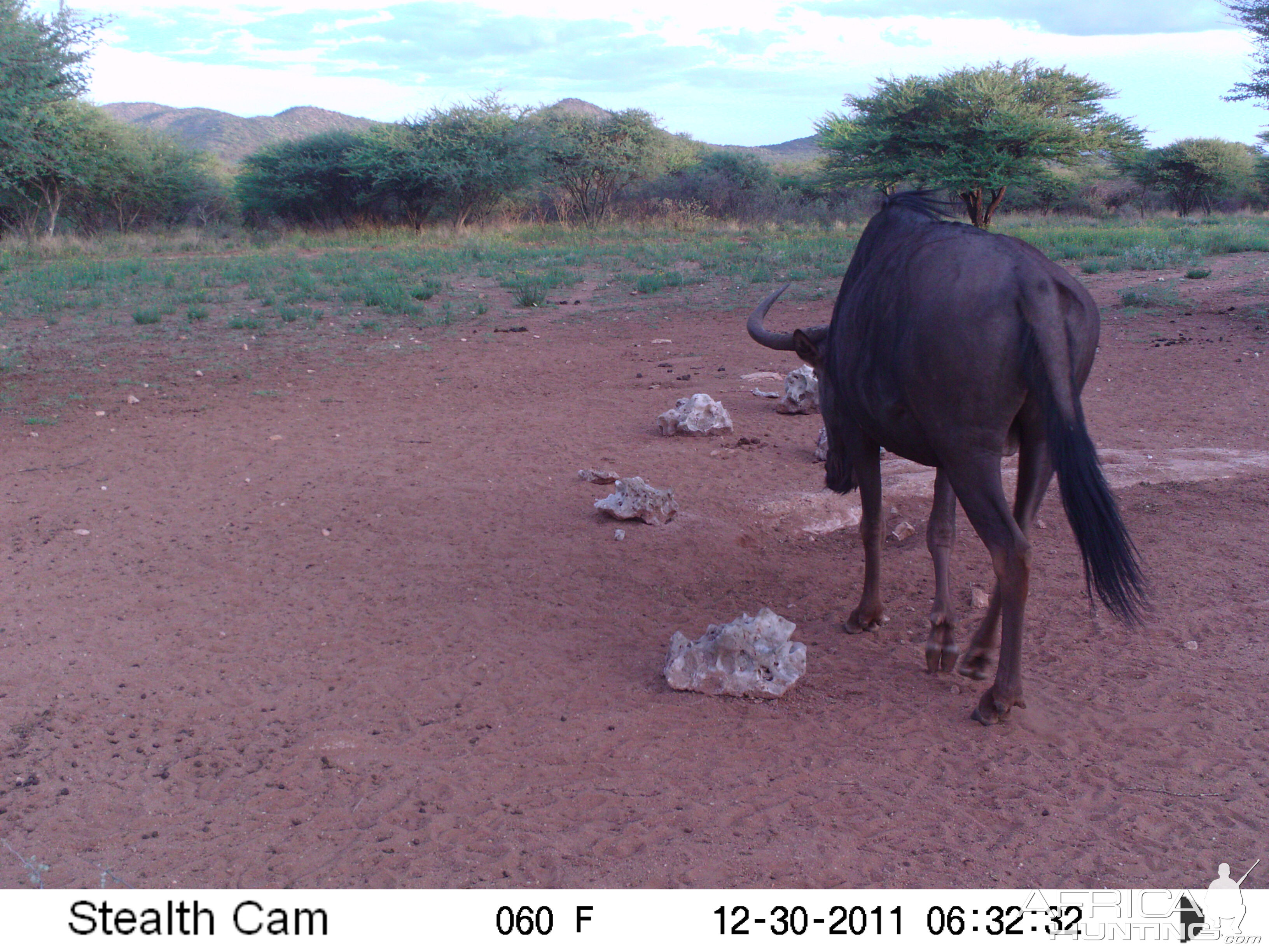 Trail Camera Namibia