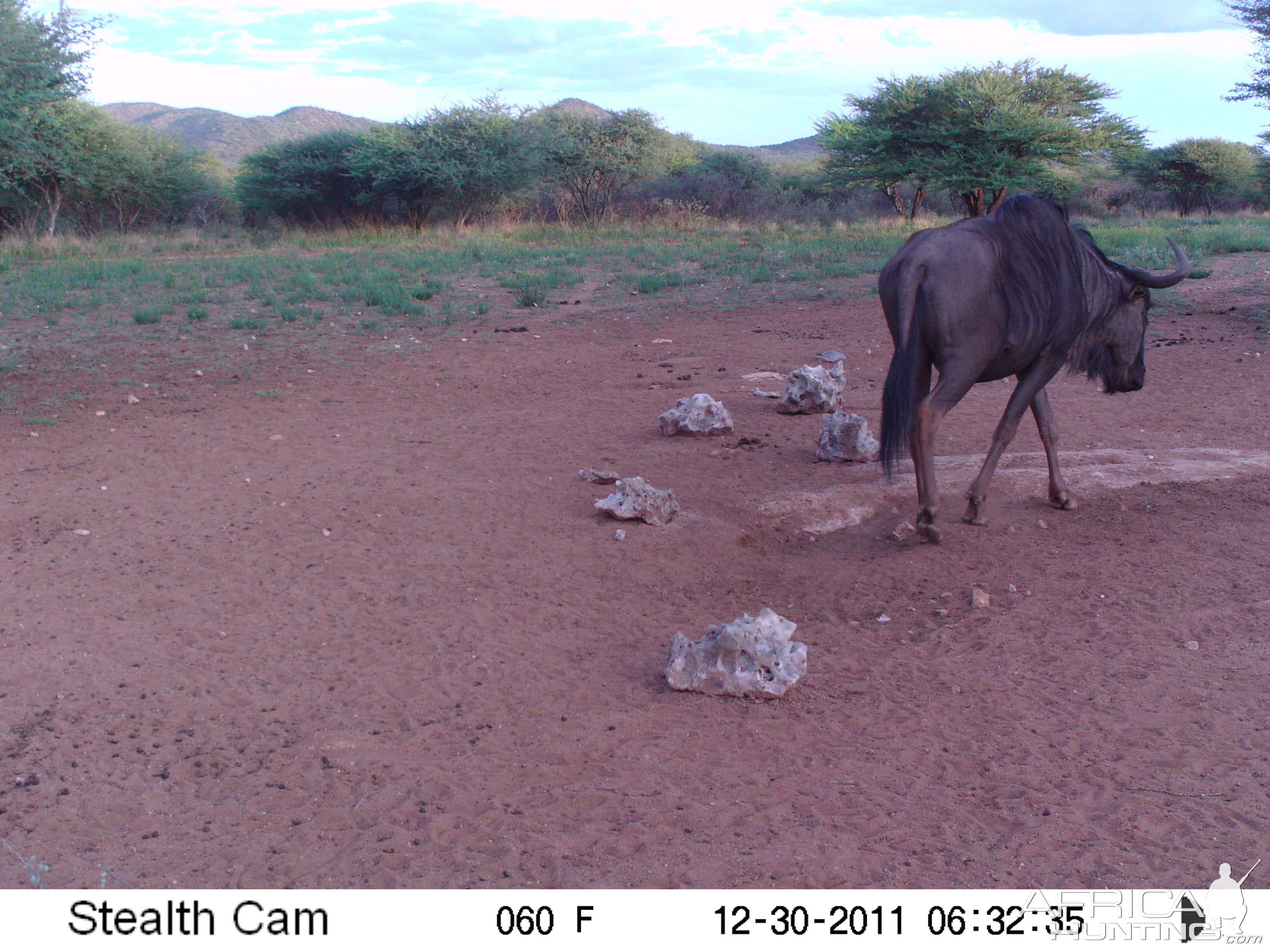 Trail Camera Namibia