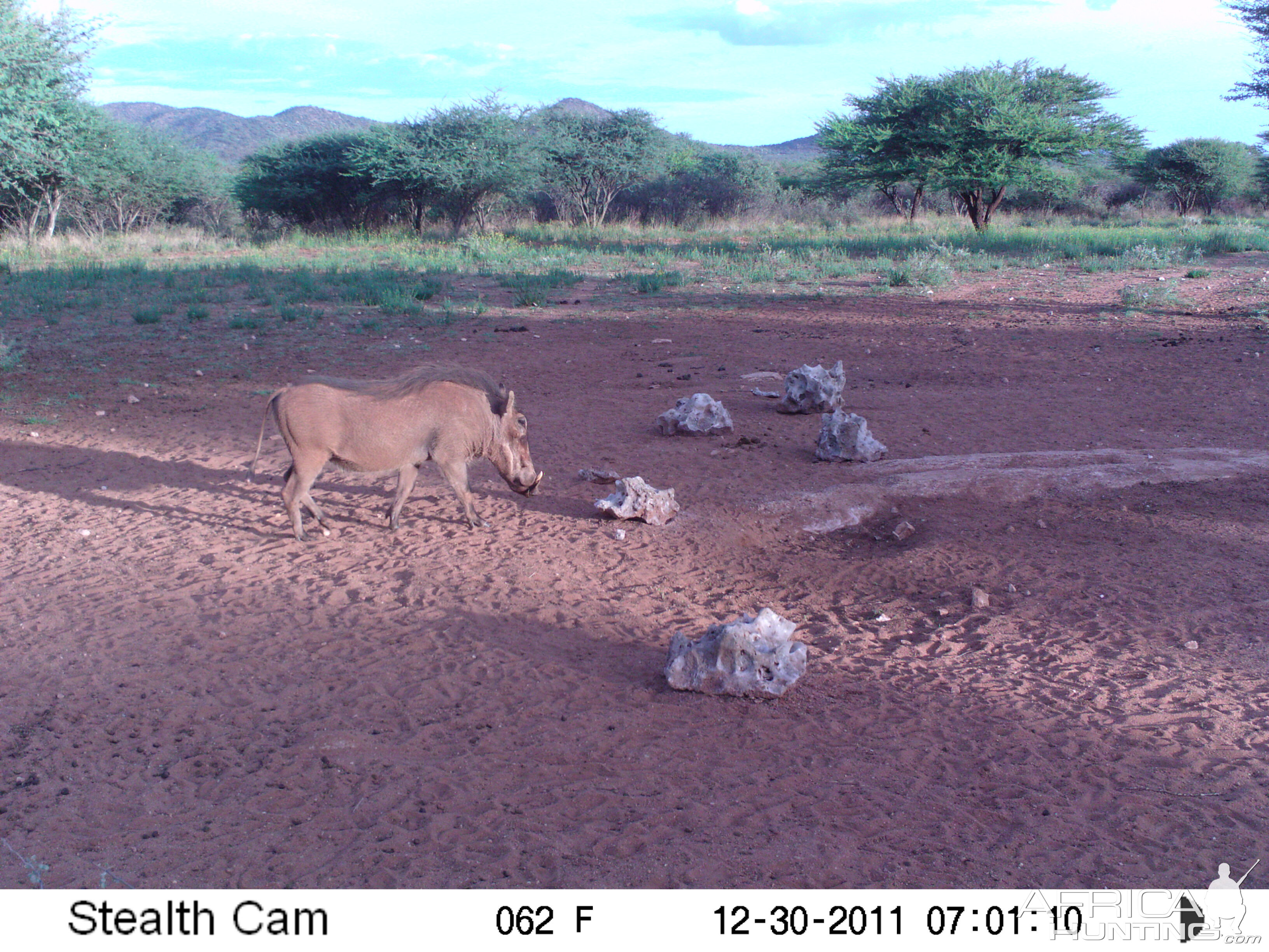 Trail Camera Namibia