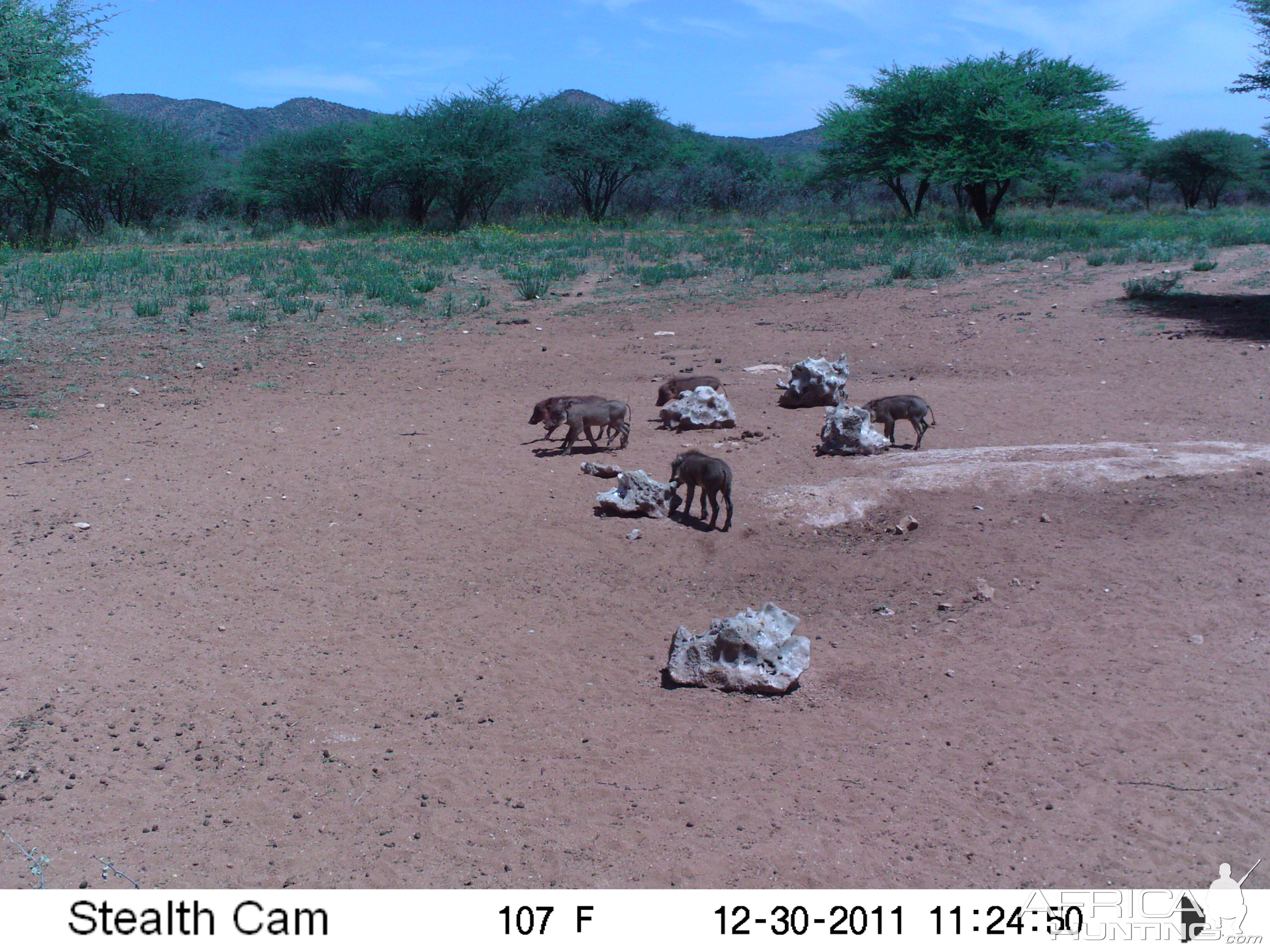 Trail Camera Namibia