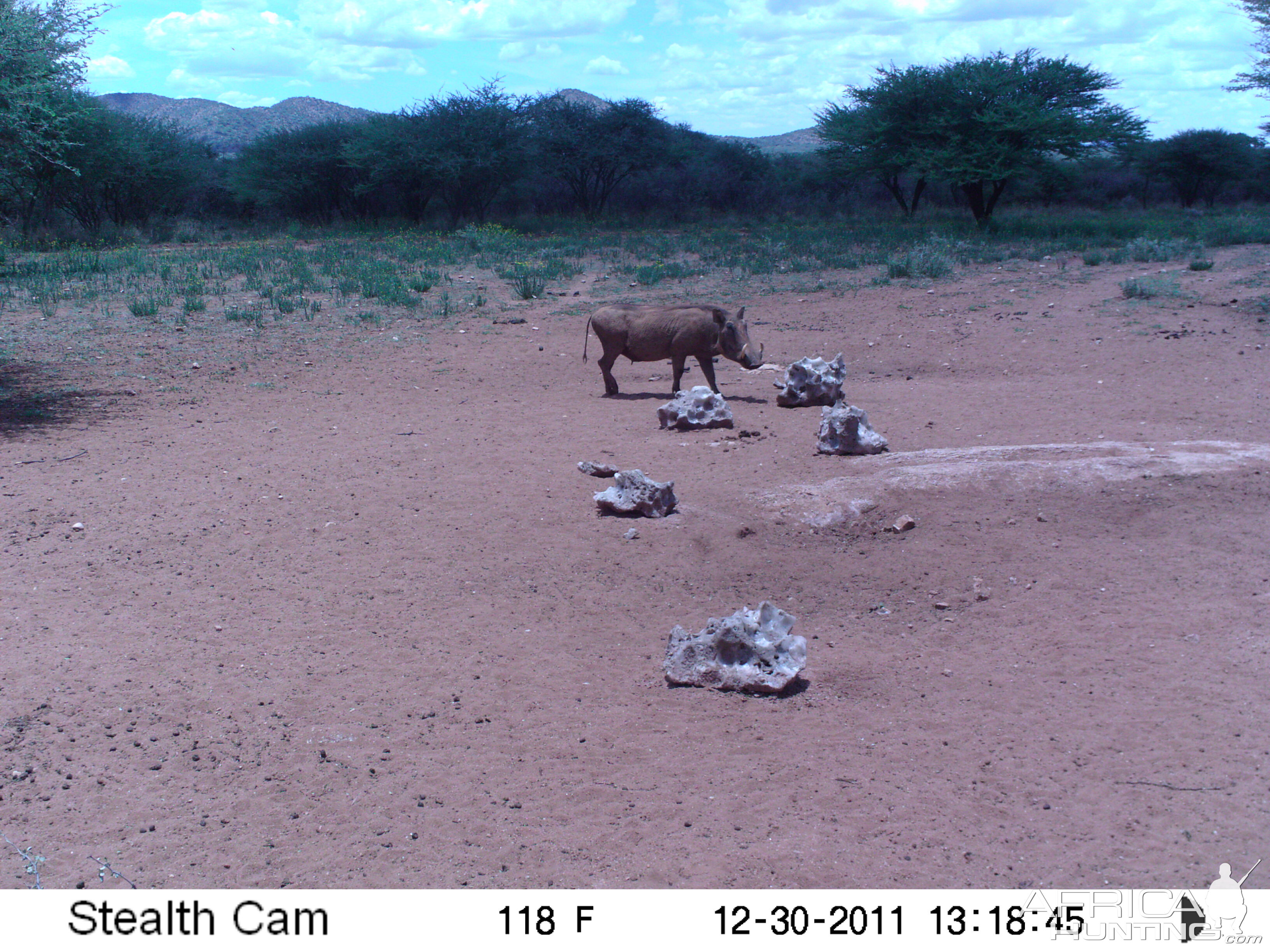 Trail Camera Namibia