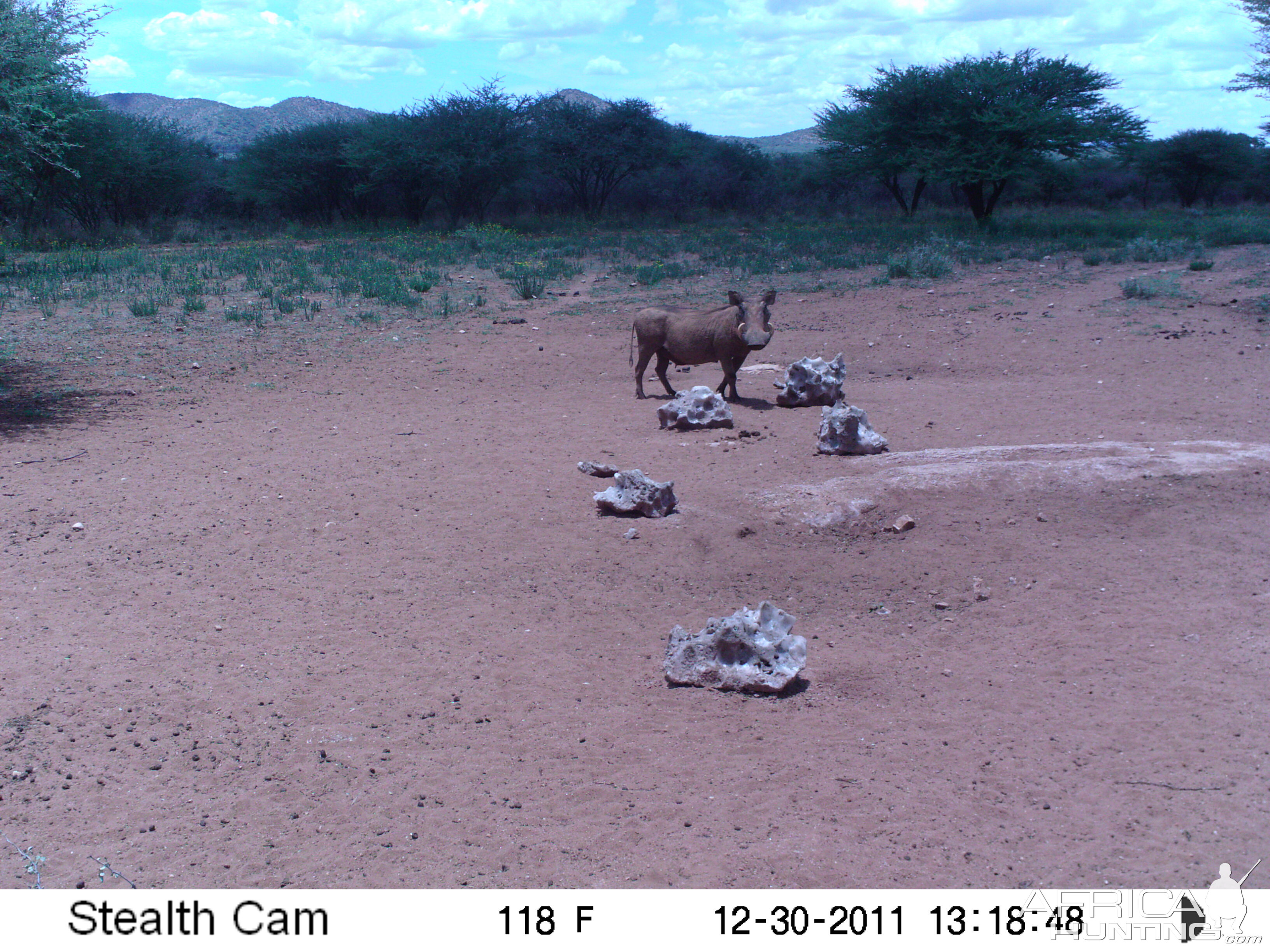 Trail Camera Namibia