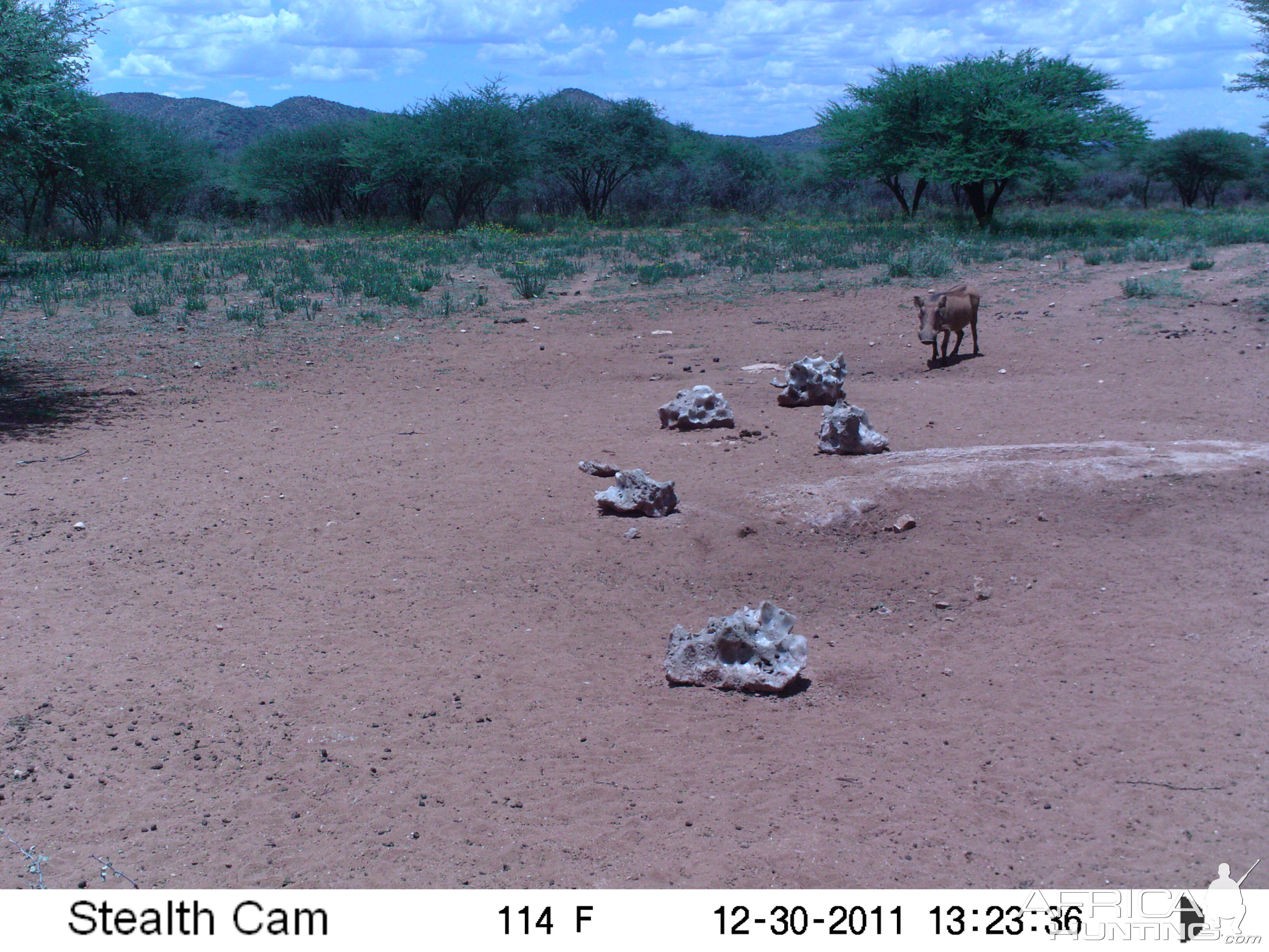 Trail Camera Namibia