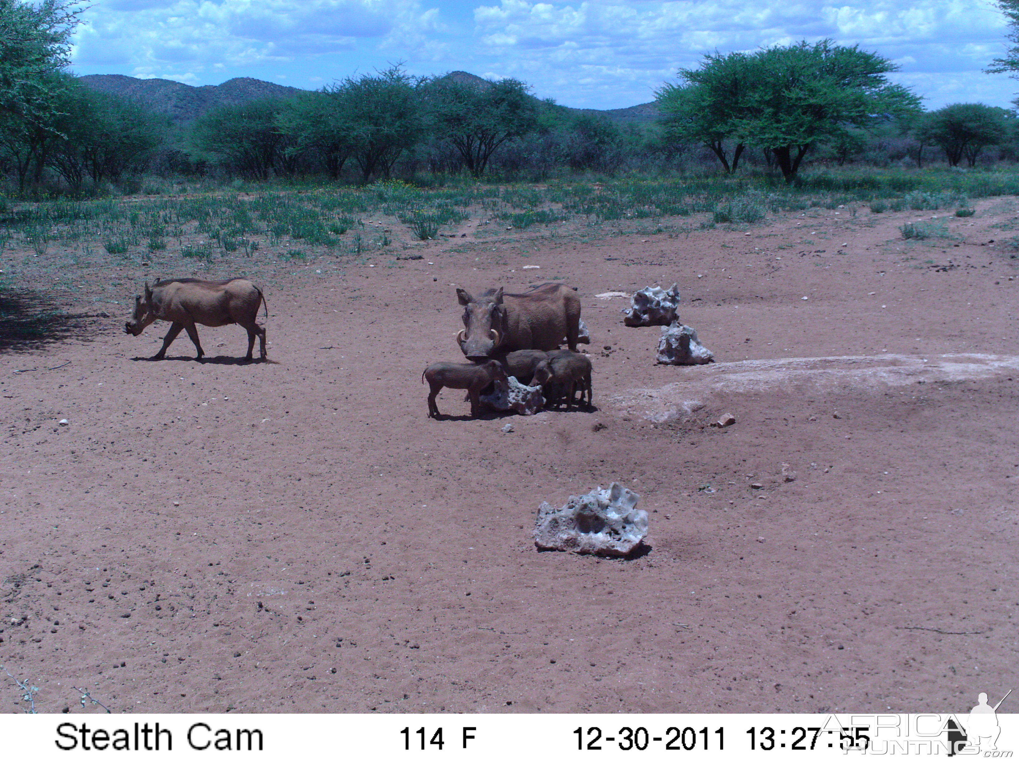 Trail Camera Namibia