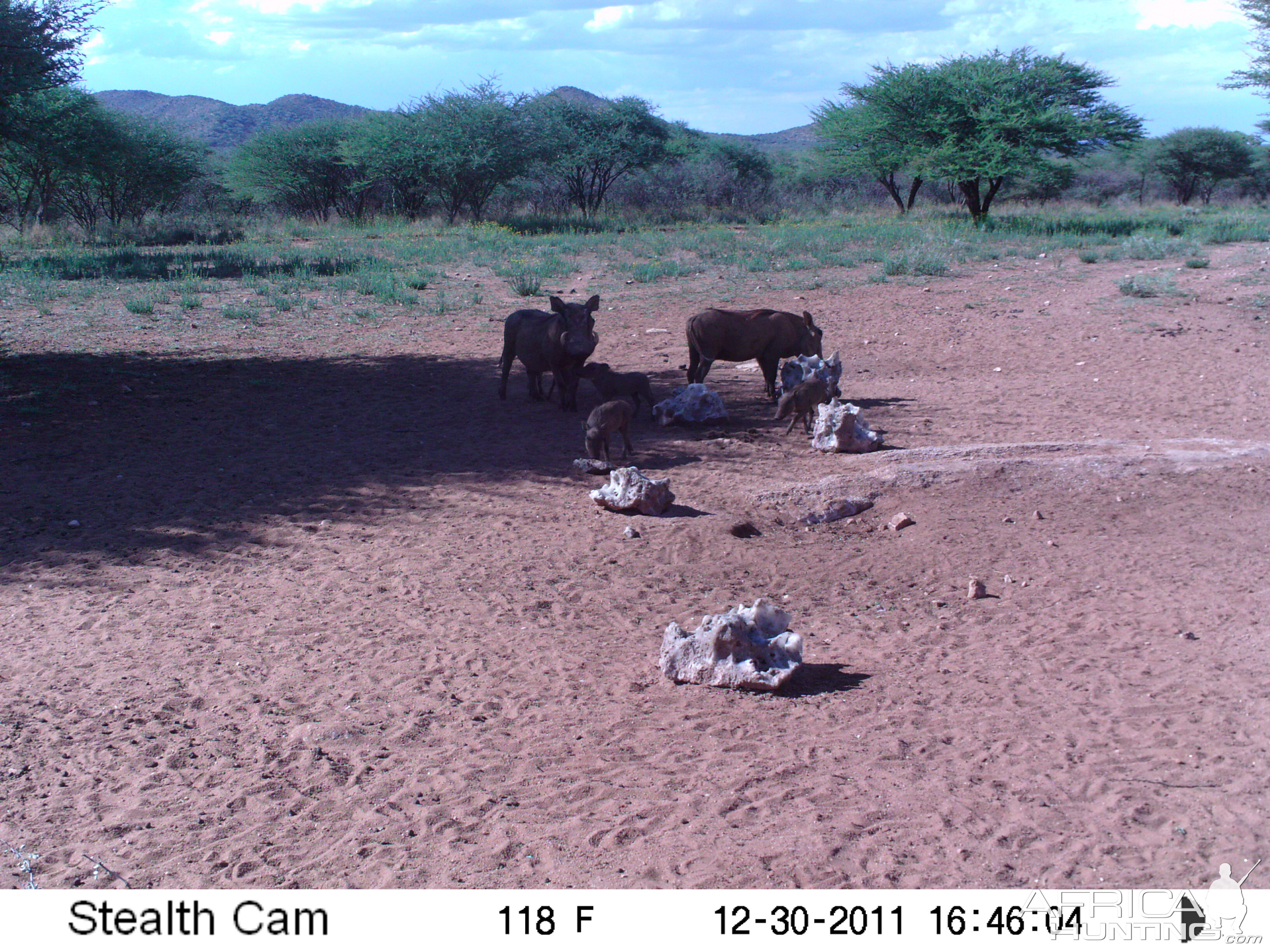 Trail Camera Namibia