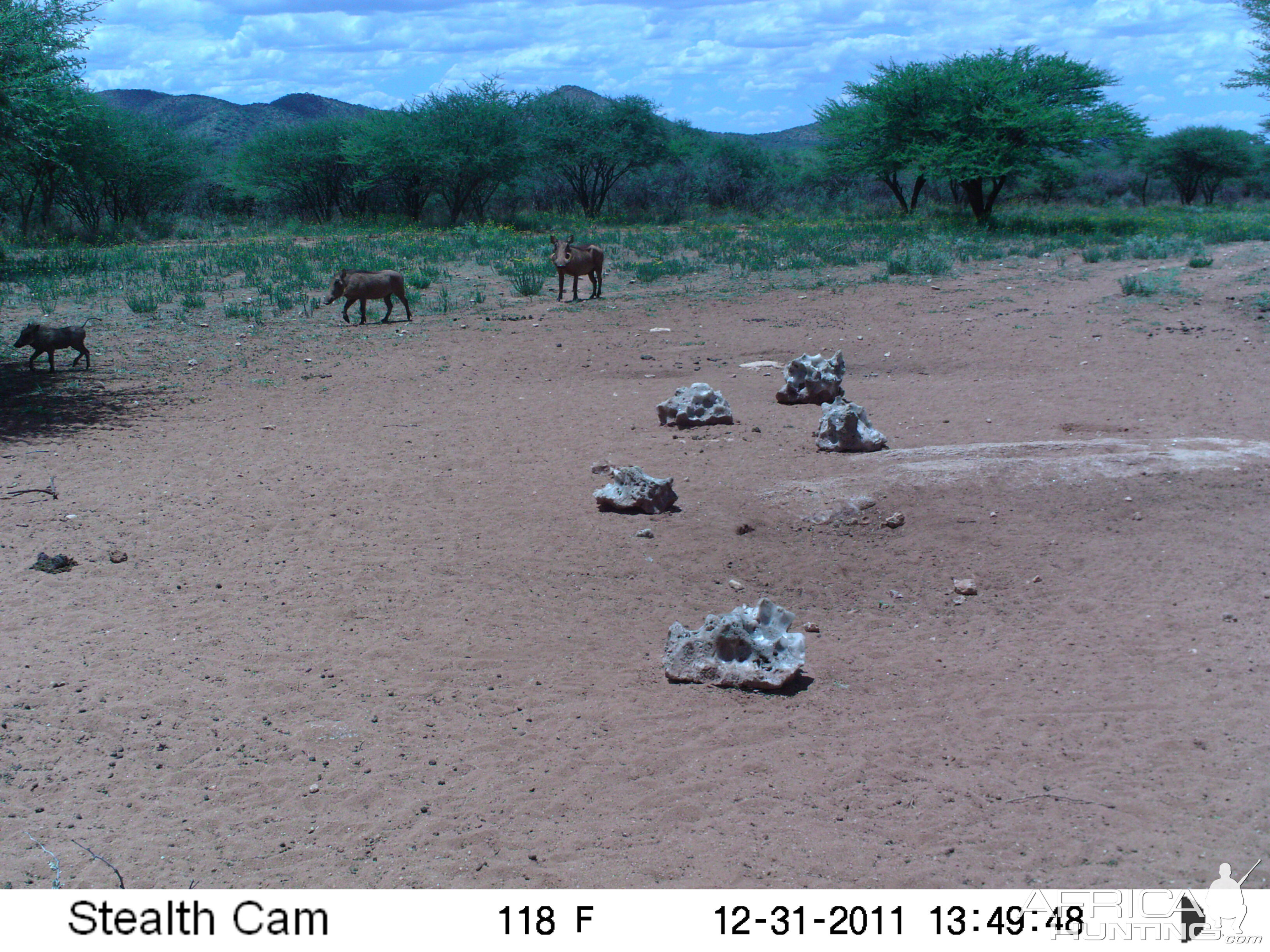 Trail Camera Namibia