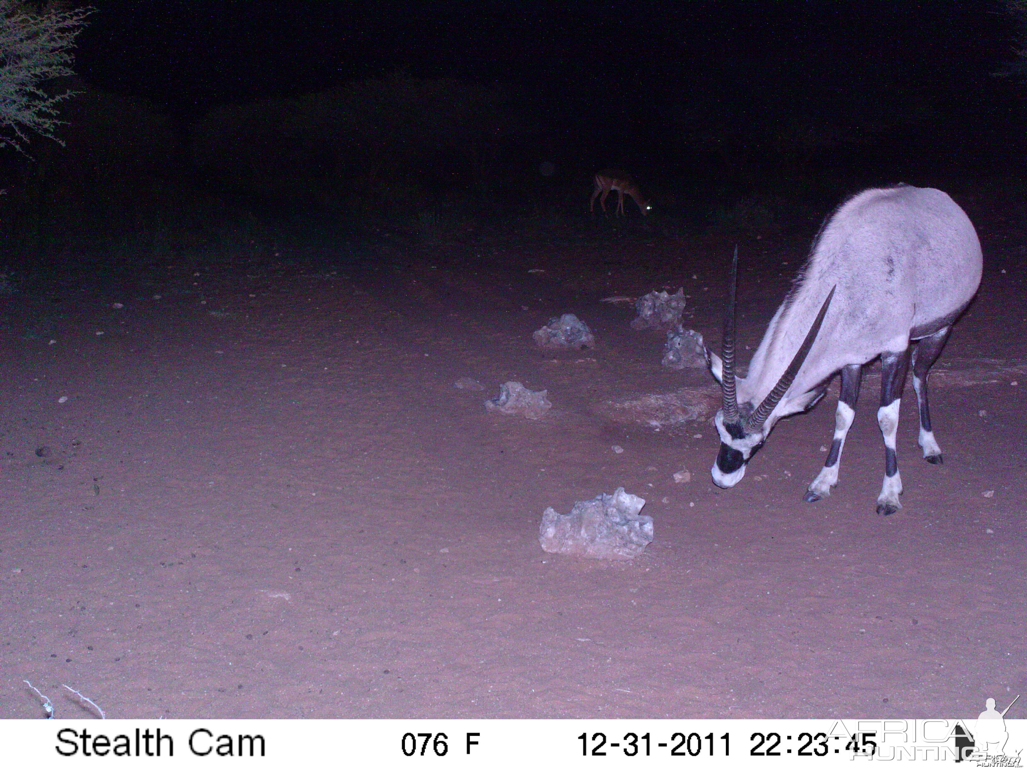 Trail Camera Namibia