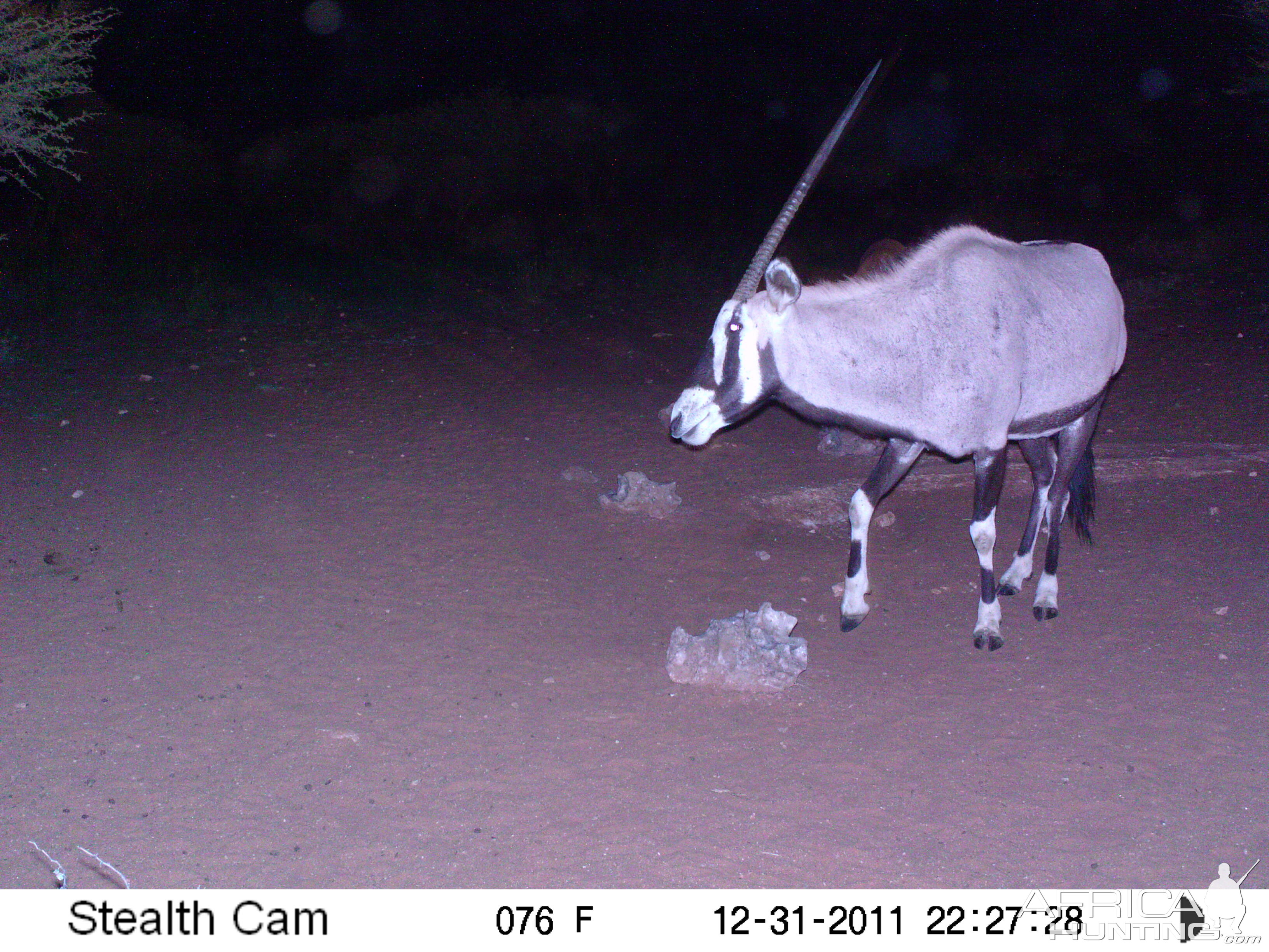 Trail Camera Namibia