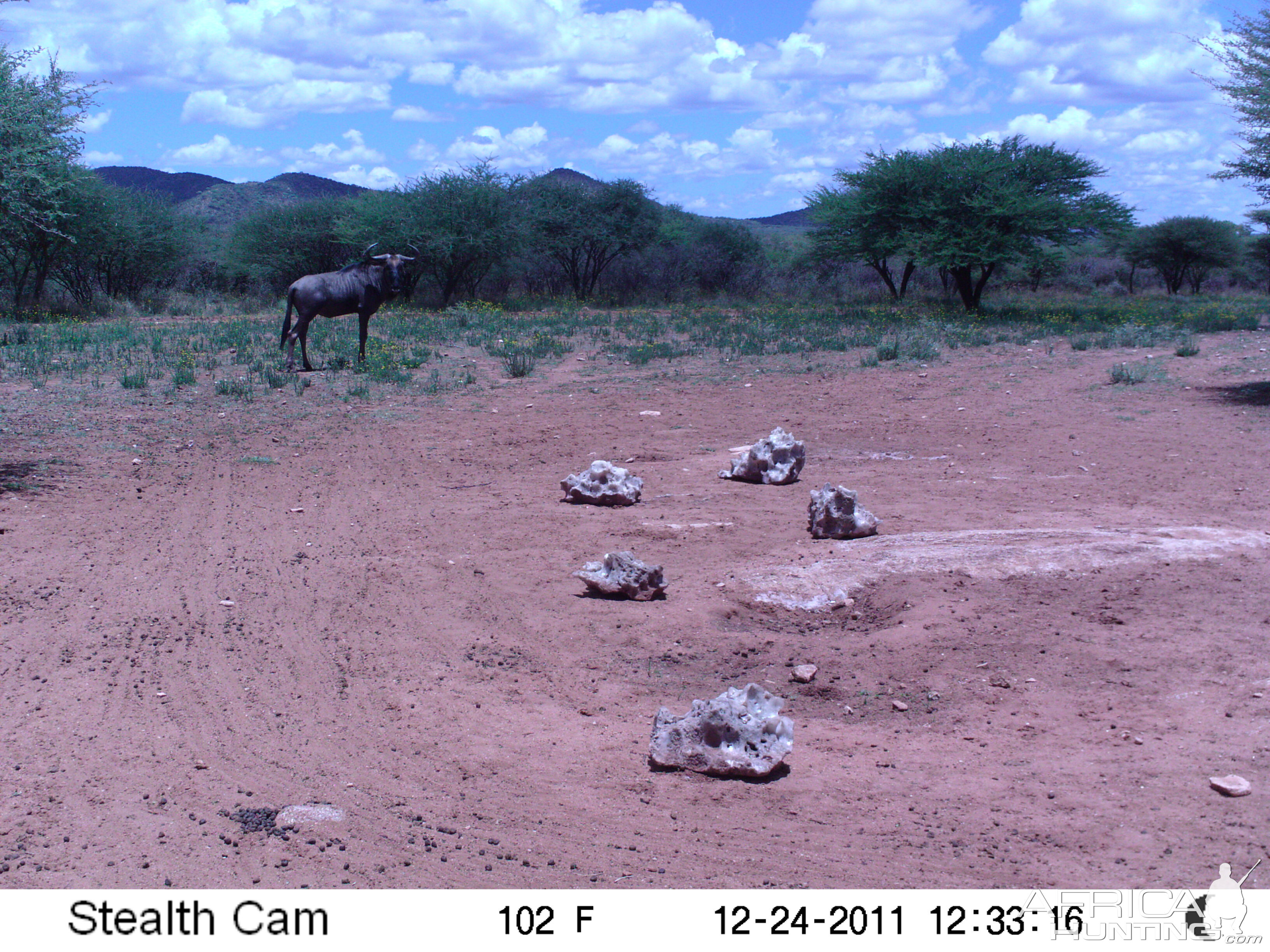 Trail Camera Namibia