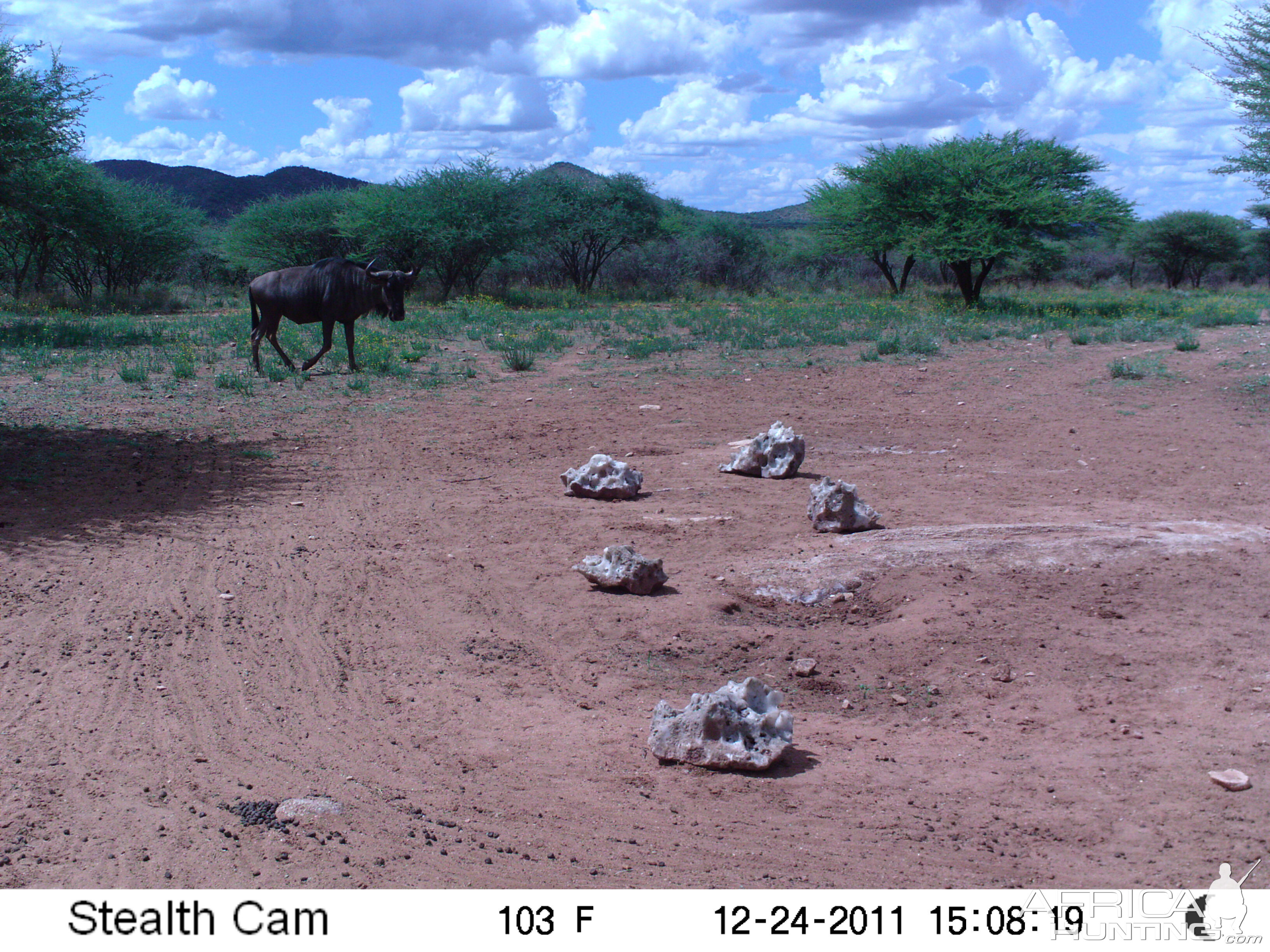 Trail Camera Namibia