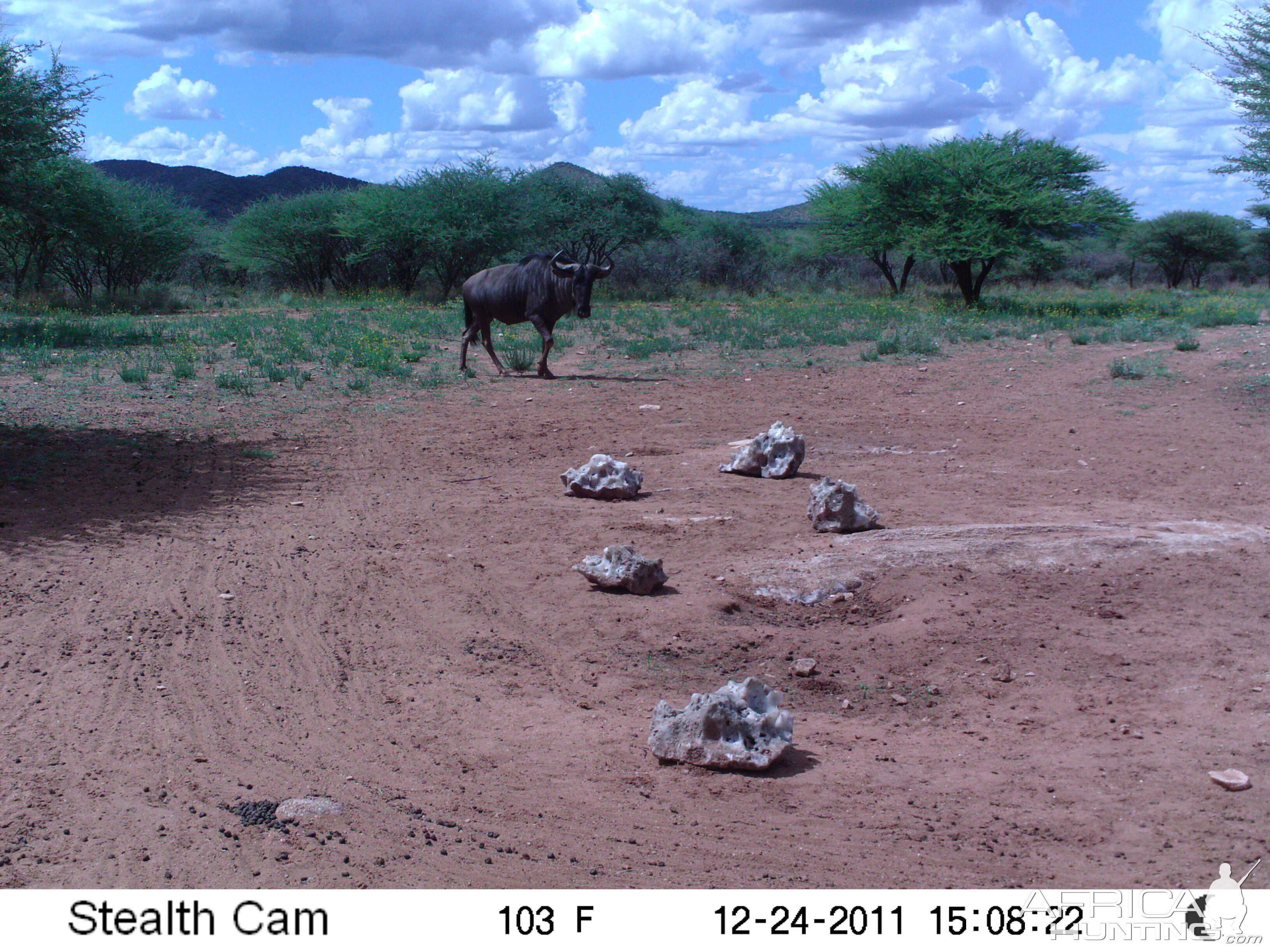 Trail Camera Namibia