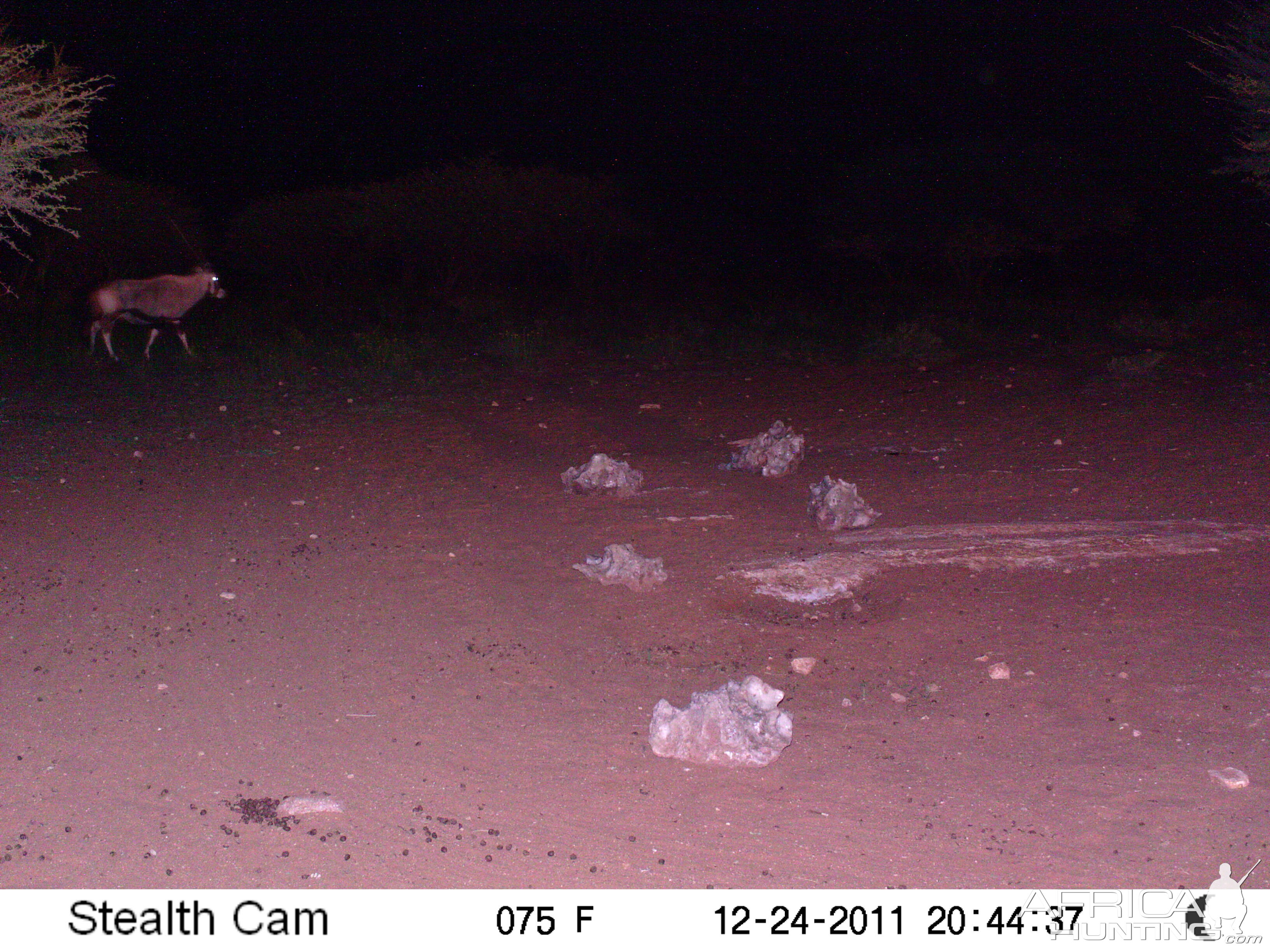 Trail Camera Namibia