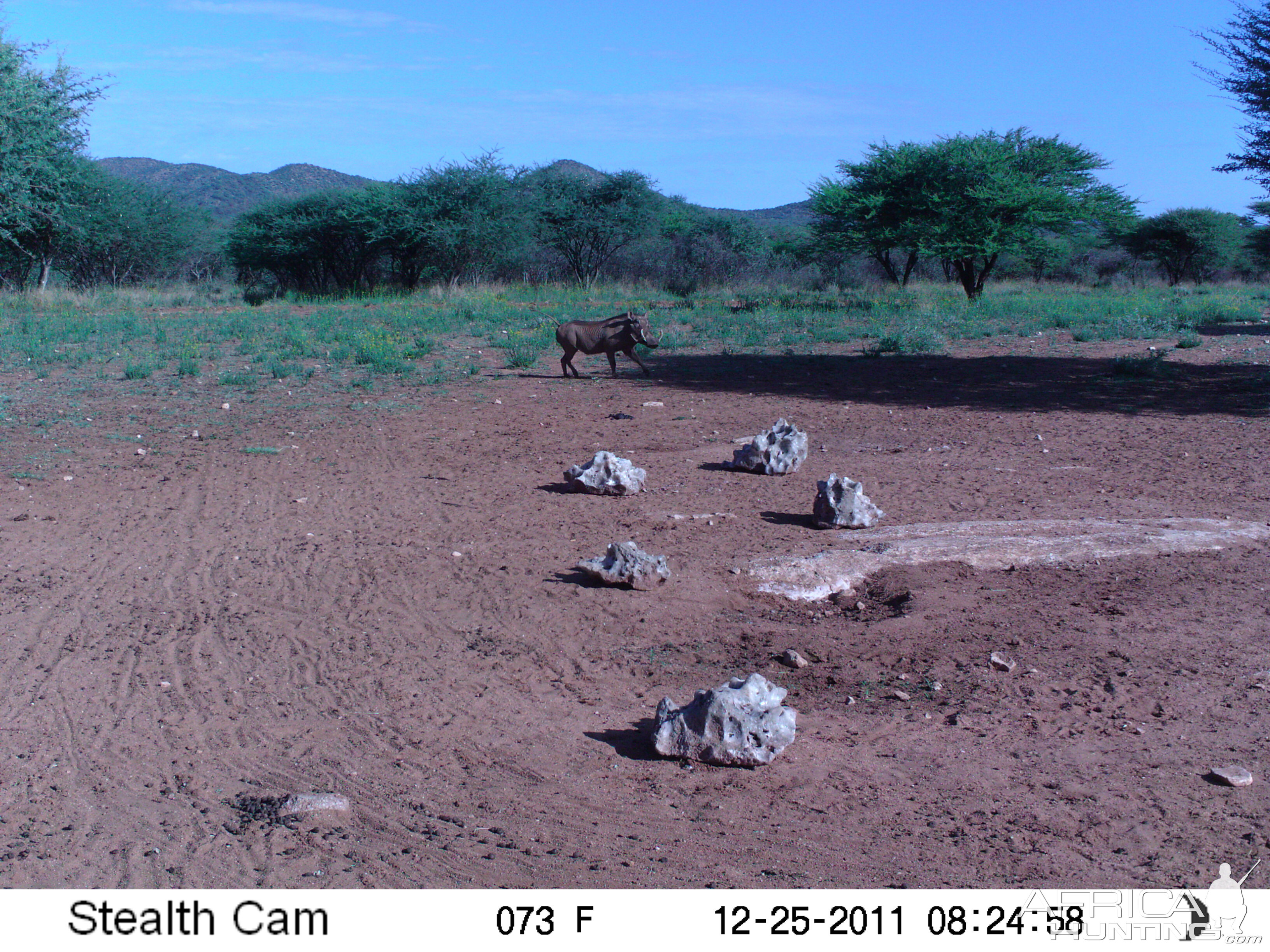 Trail Camera Namibia