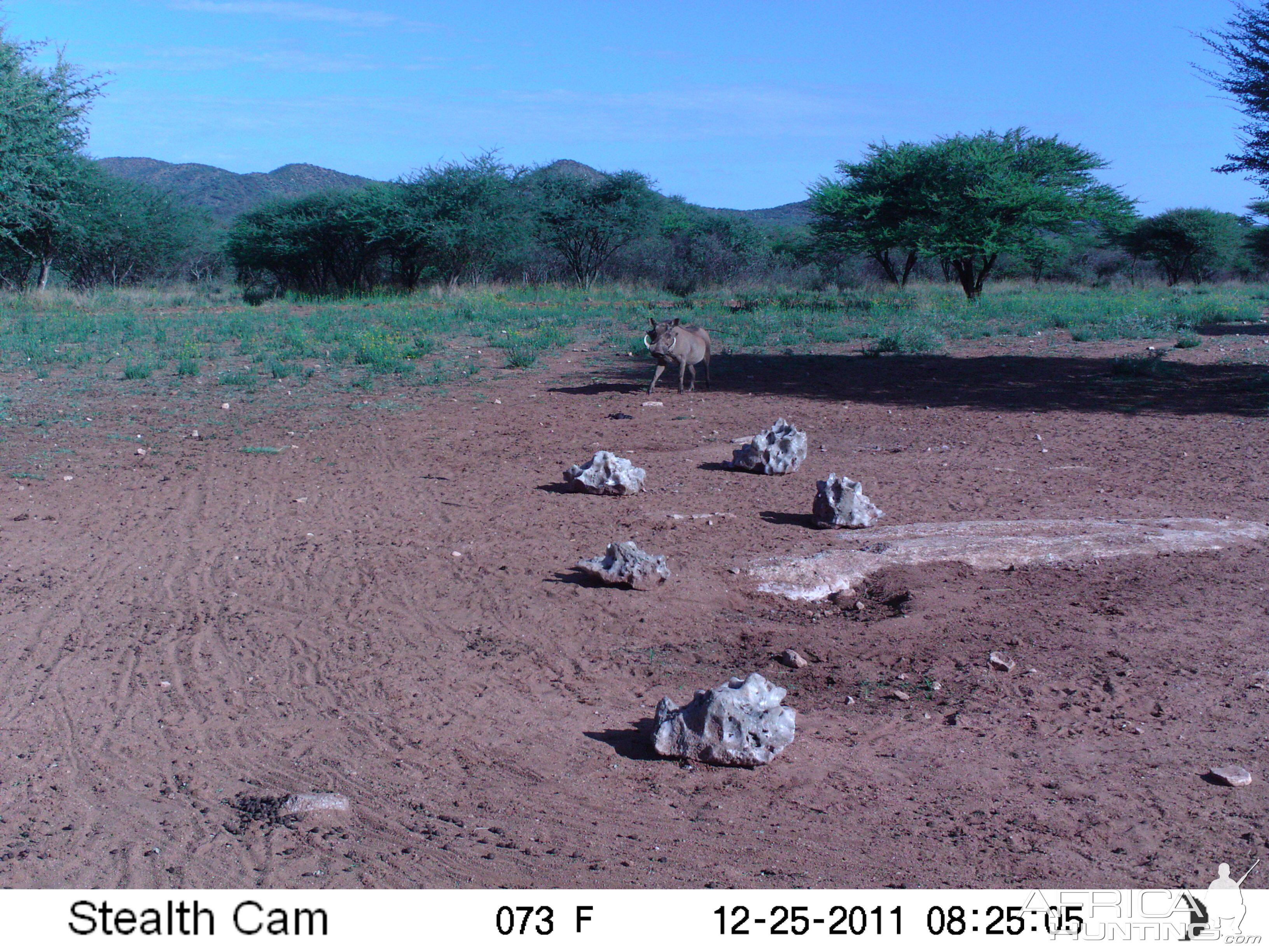 Trail Camera Namibia