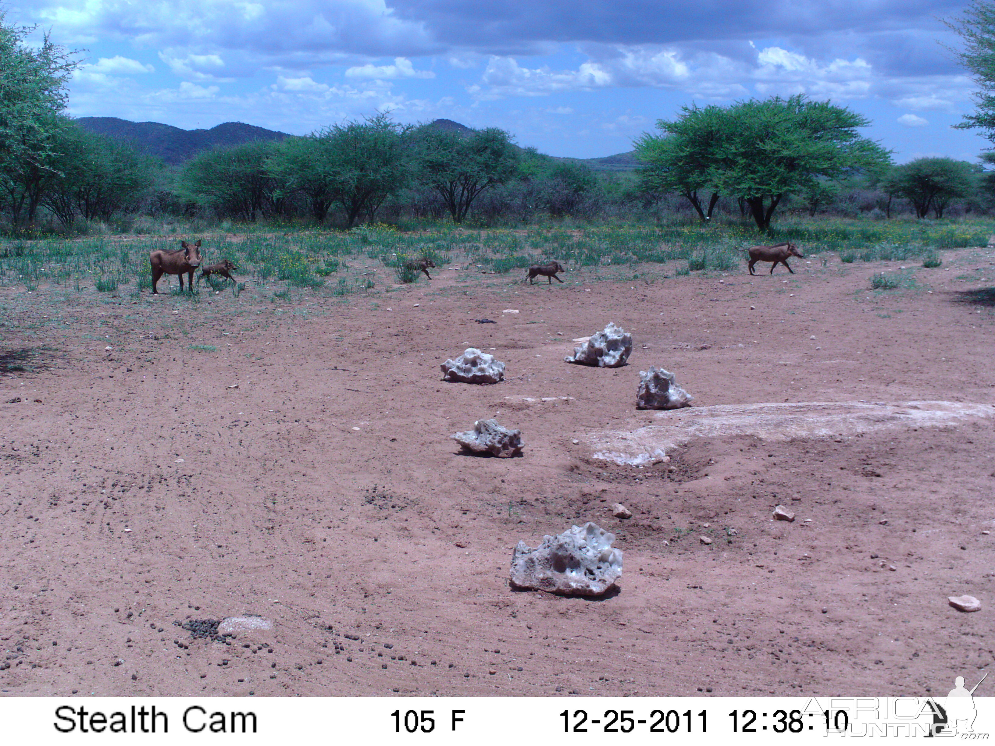 Trail Camera Namibia