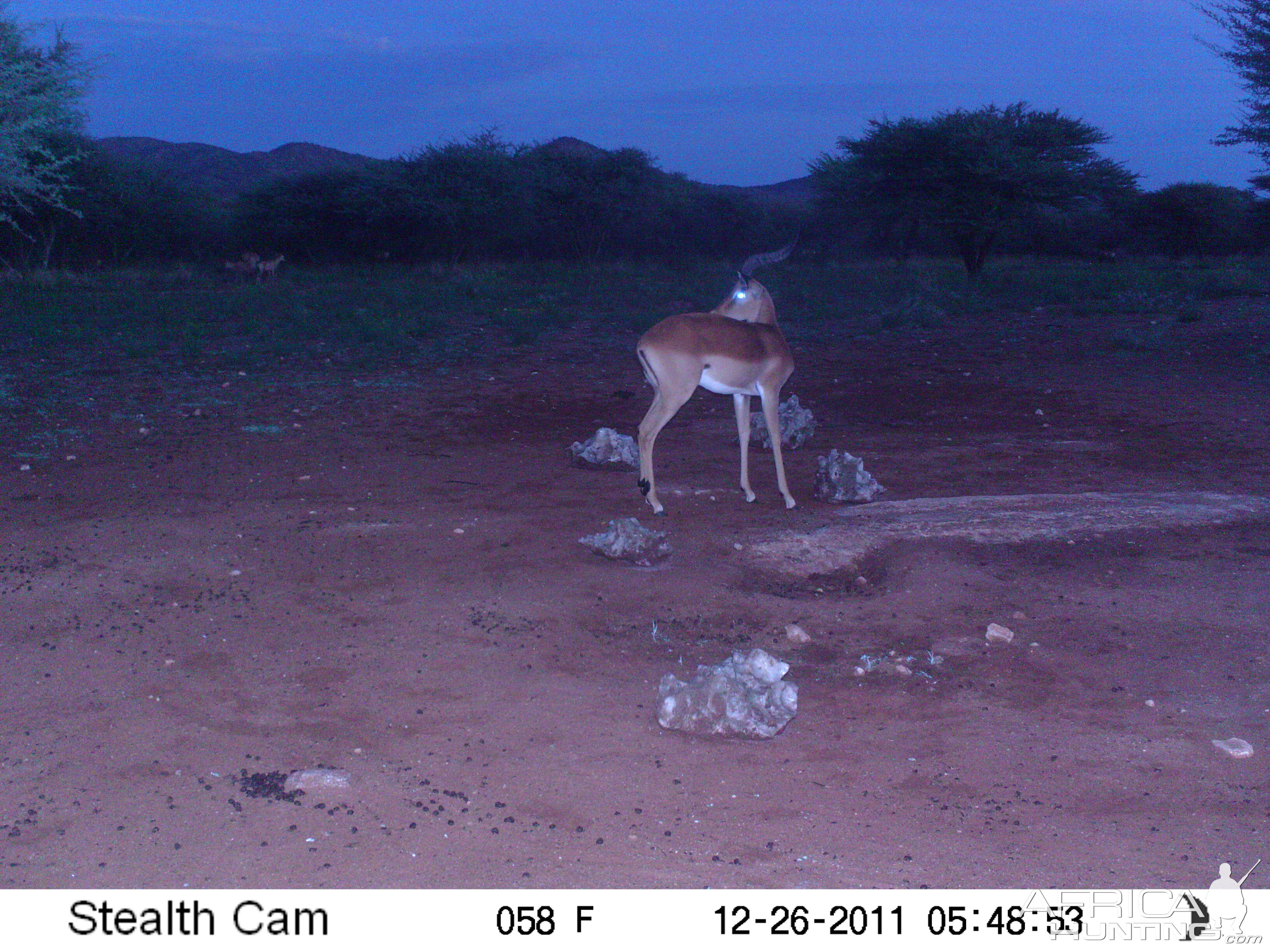 Trail Camera Namibia