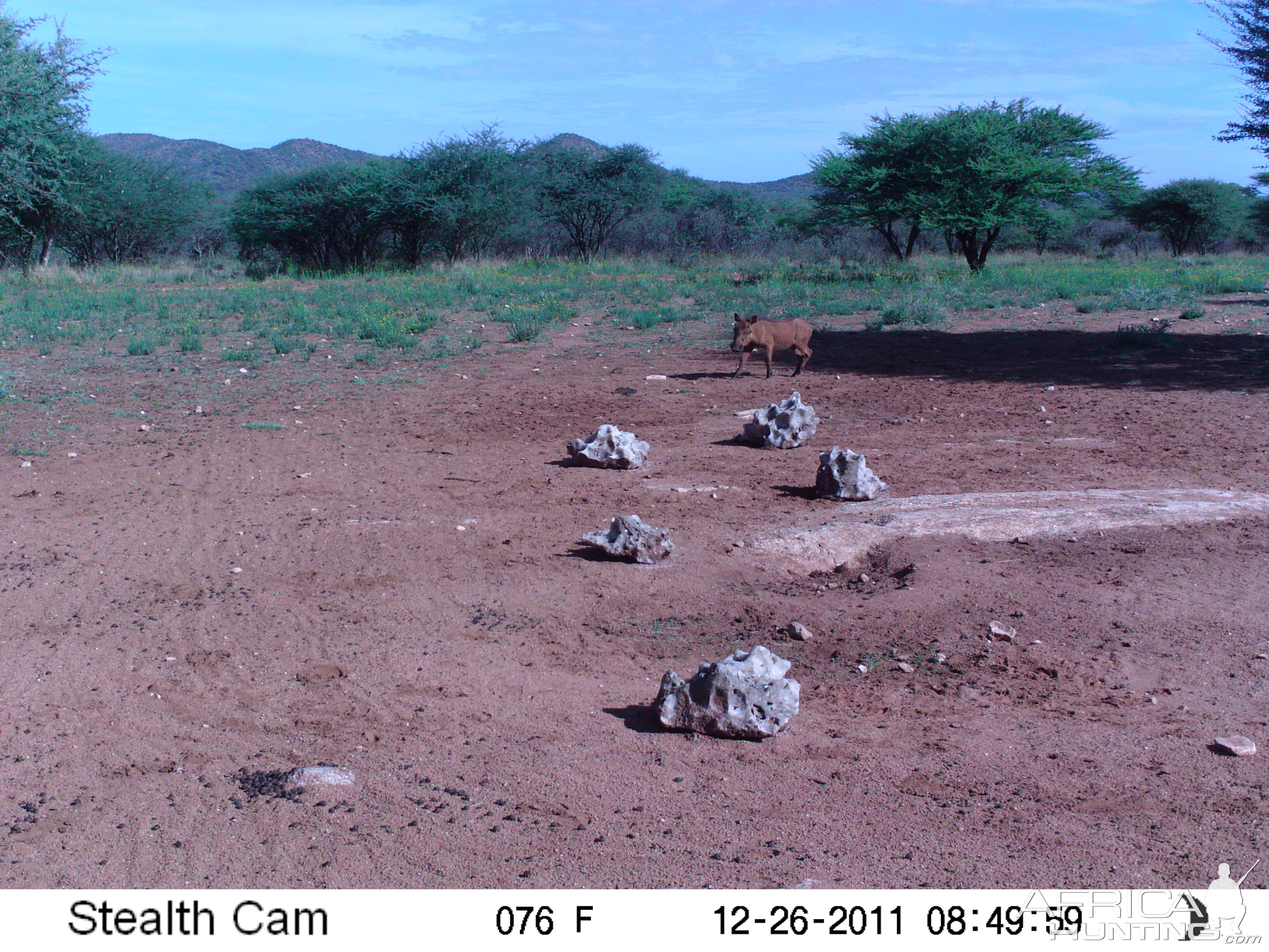 Trail Camera Namibia