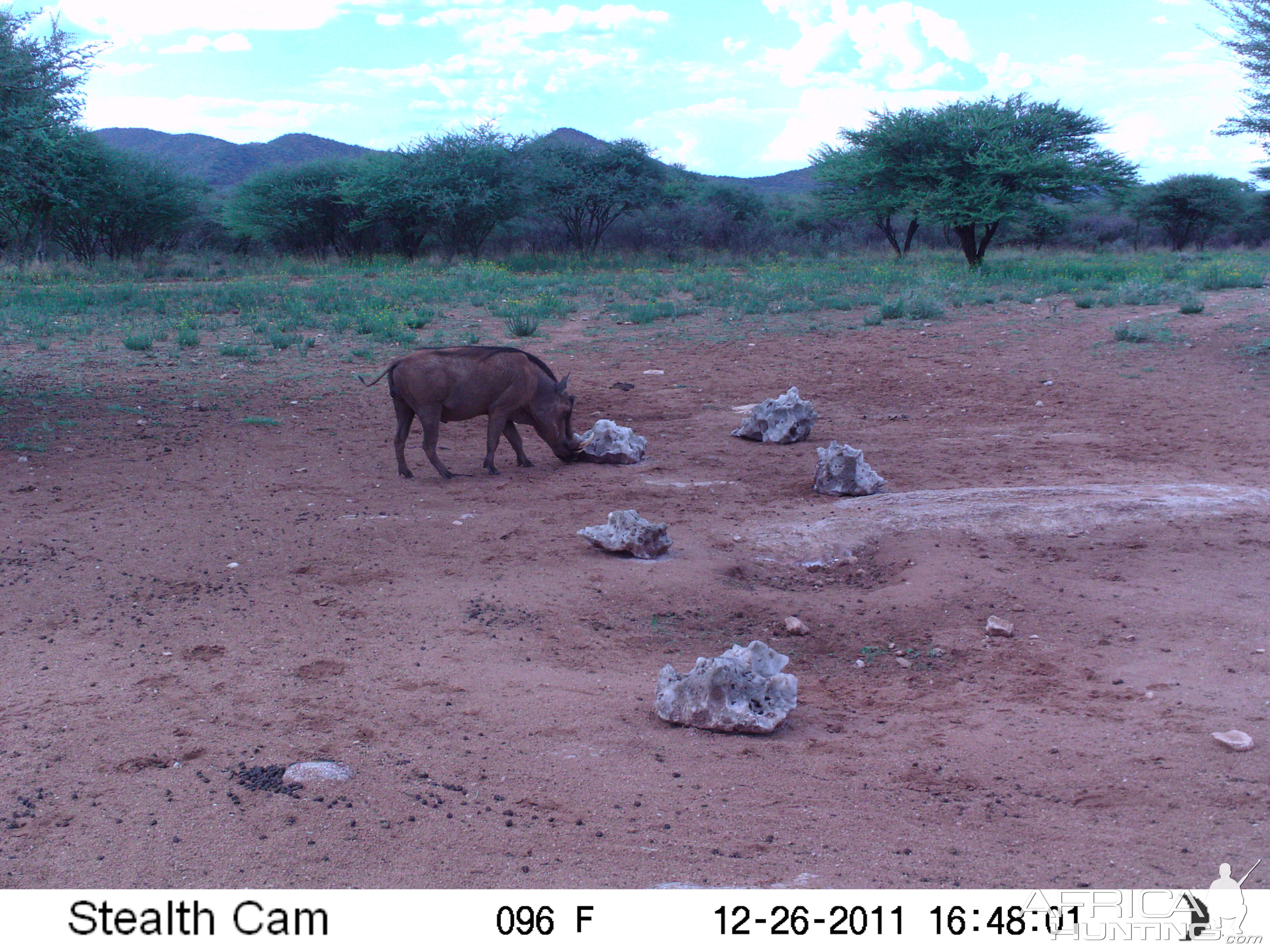 Trail Camera Namibia