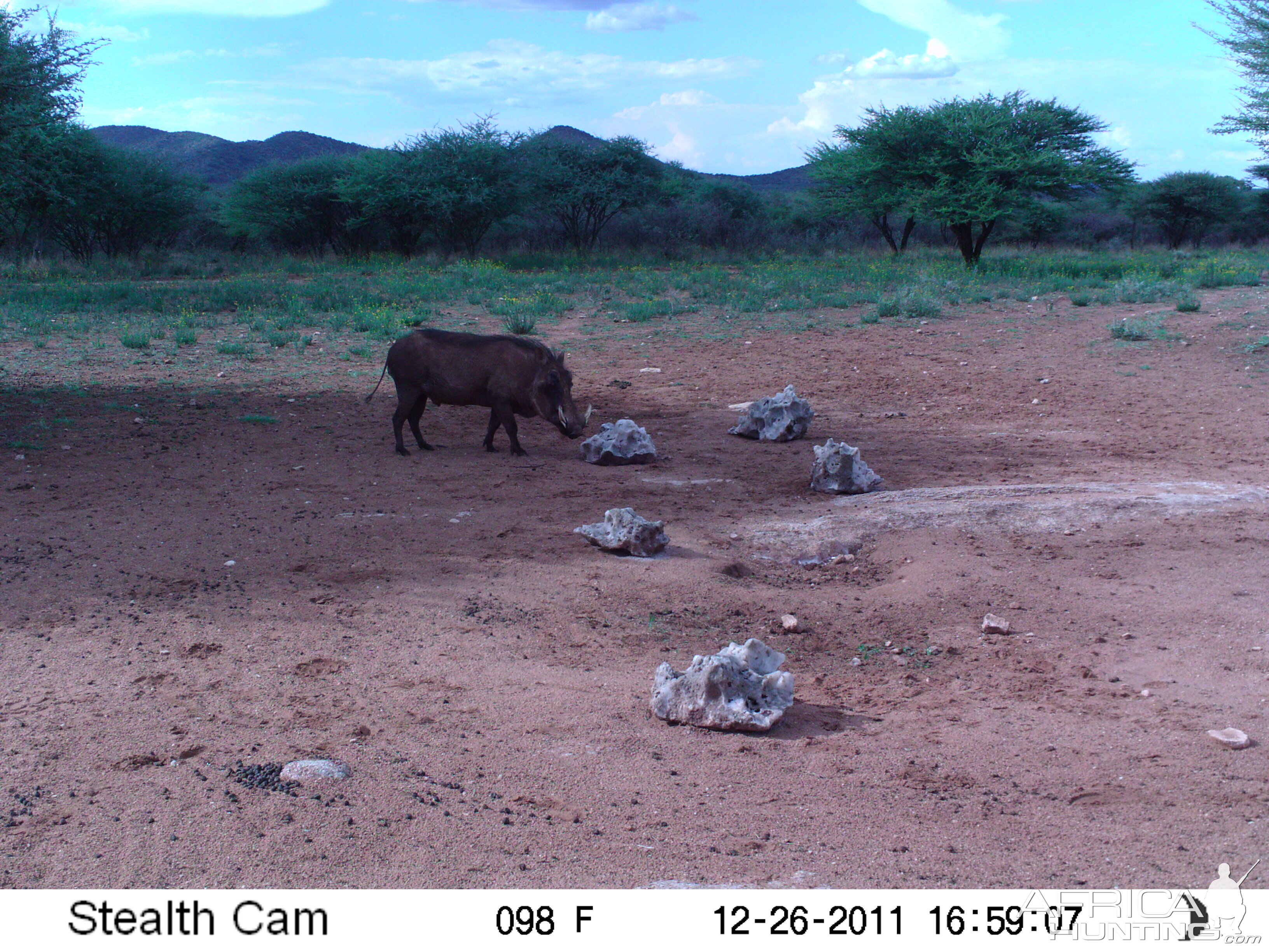 Trail Camera Namibia