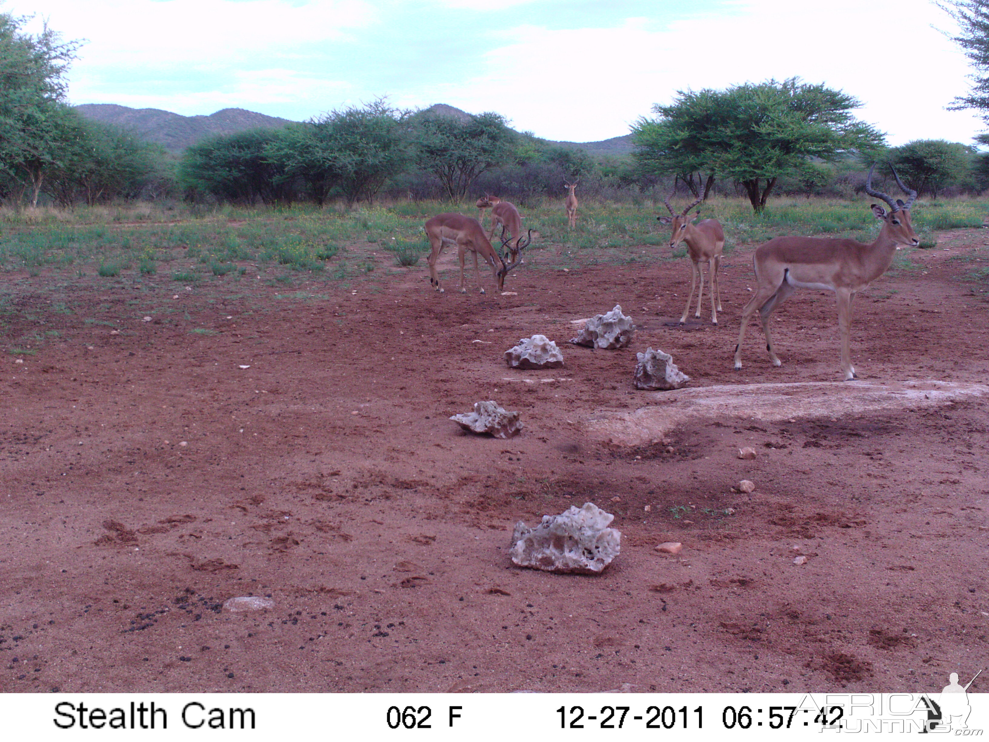 Trail Camera Namibia