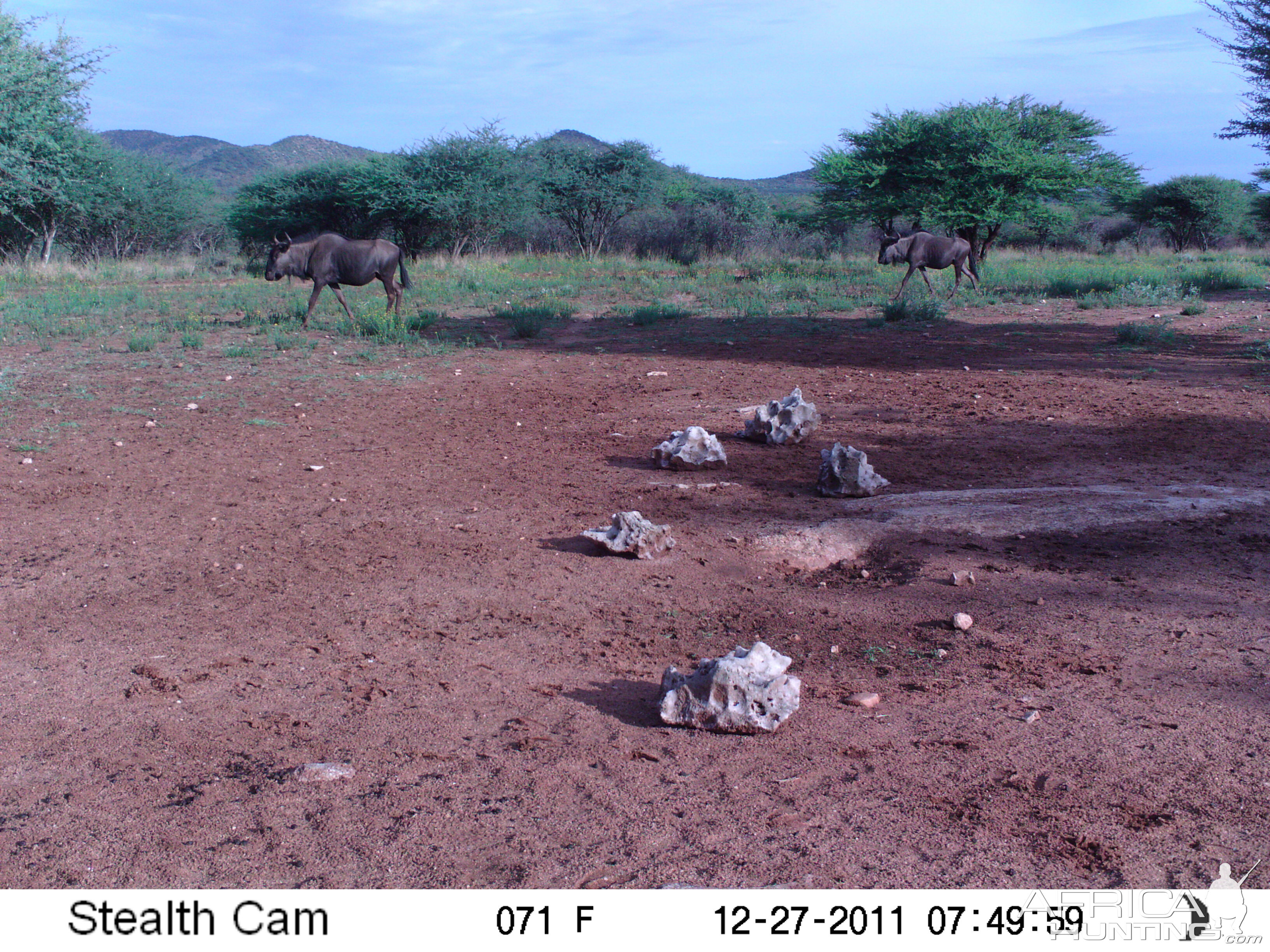 Trail Camera Namibia