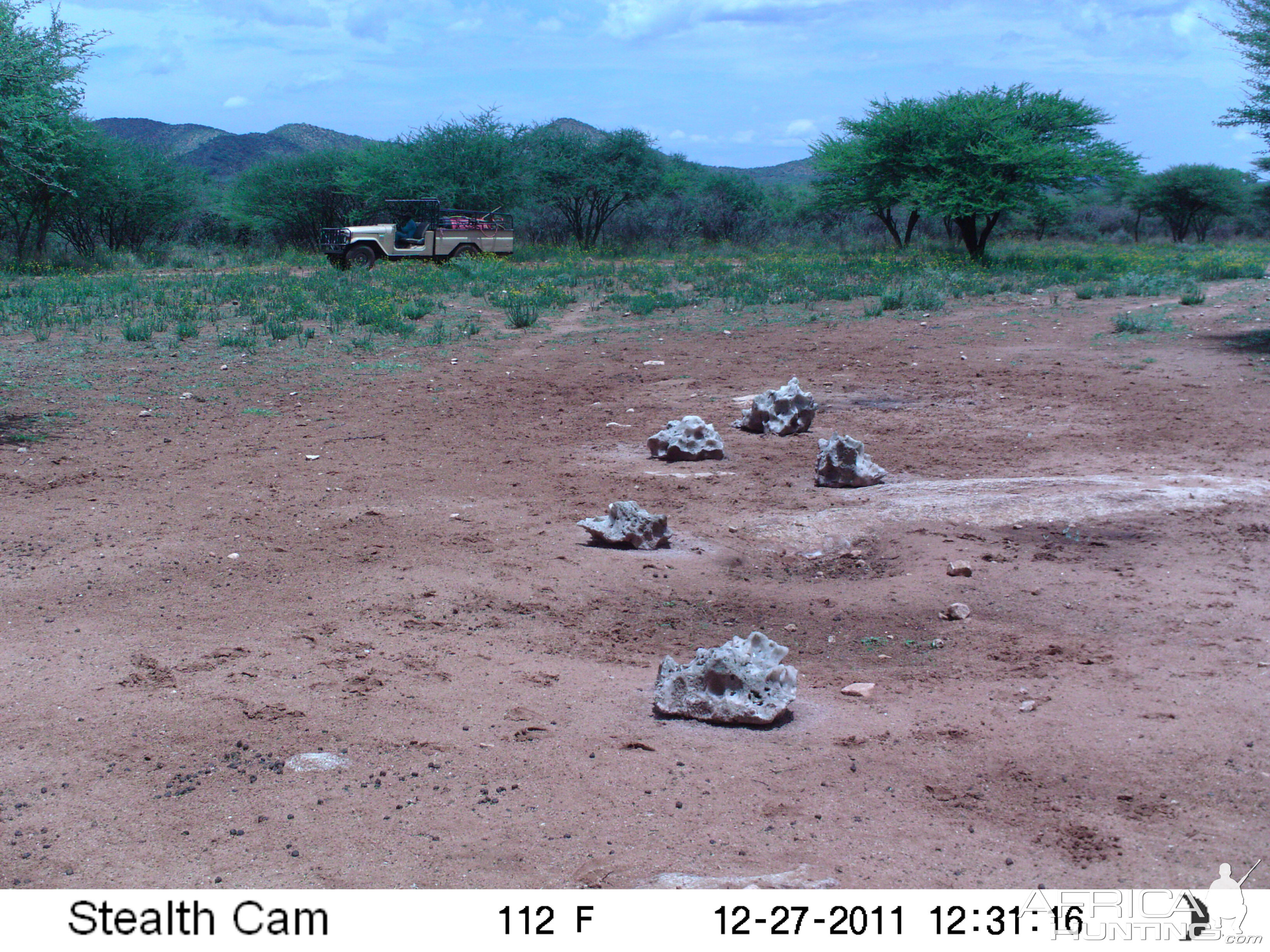 Trail Camera Namibia