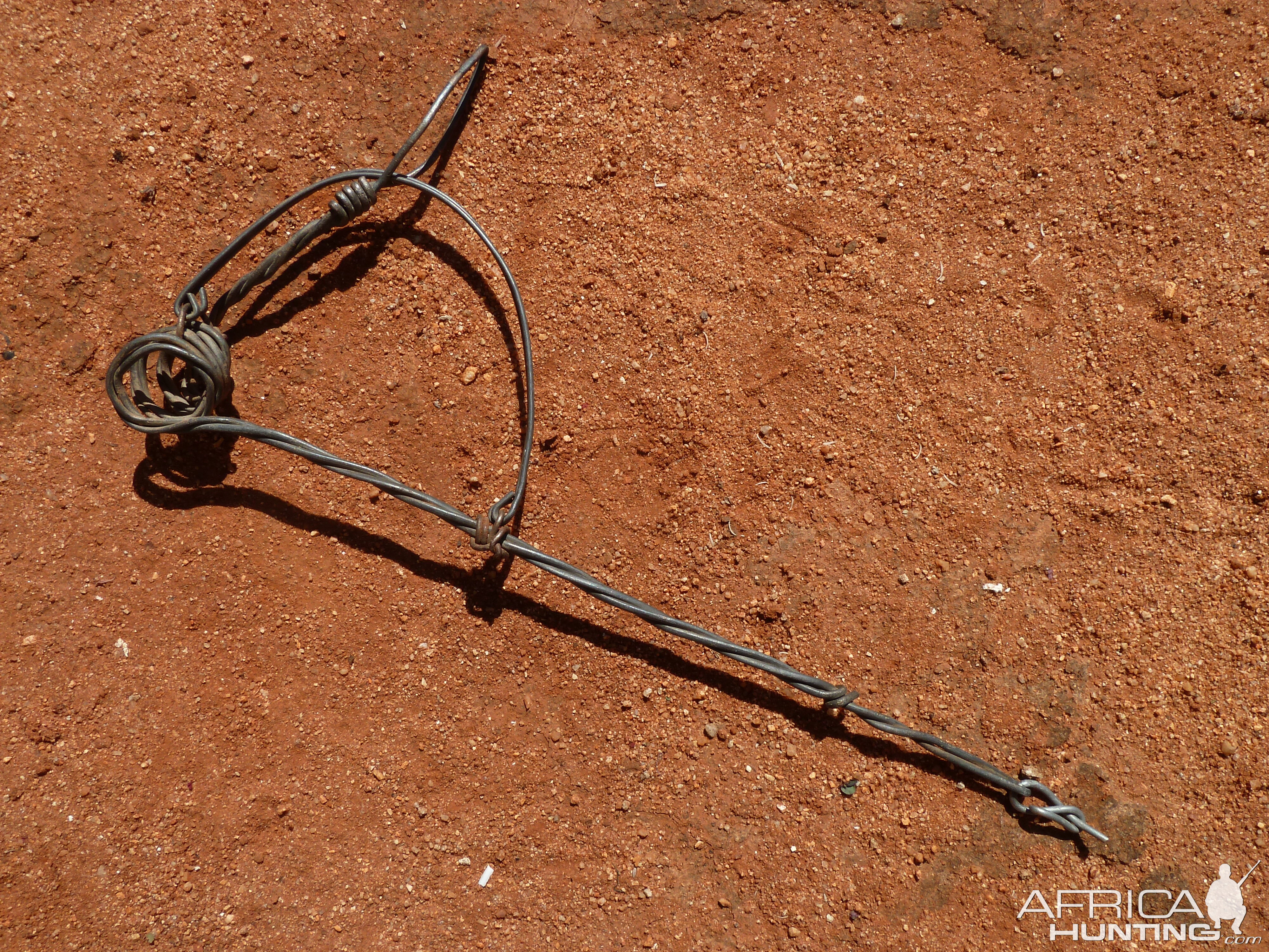 Trap made of fence wire