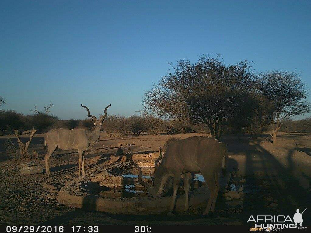 Trial Cam Kudu