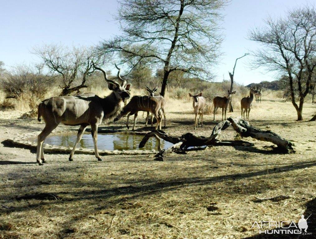 Trial Cam Kudu