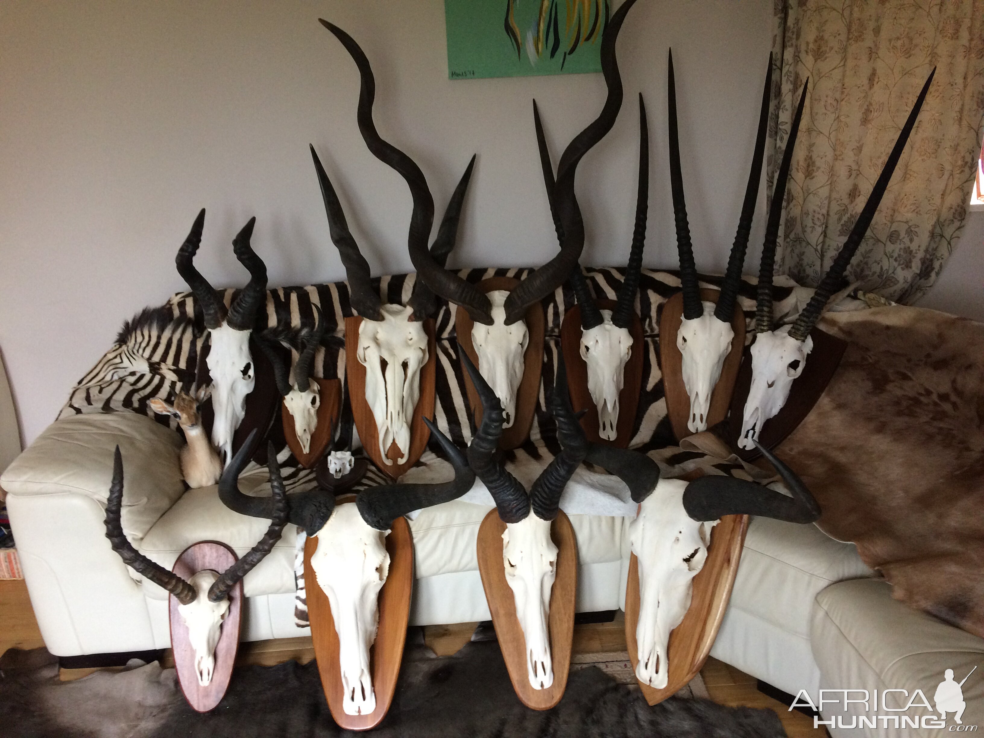 Trophies | AfricaHunting.com