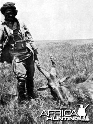 Trophy Hartebeest