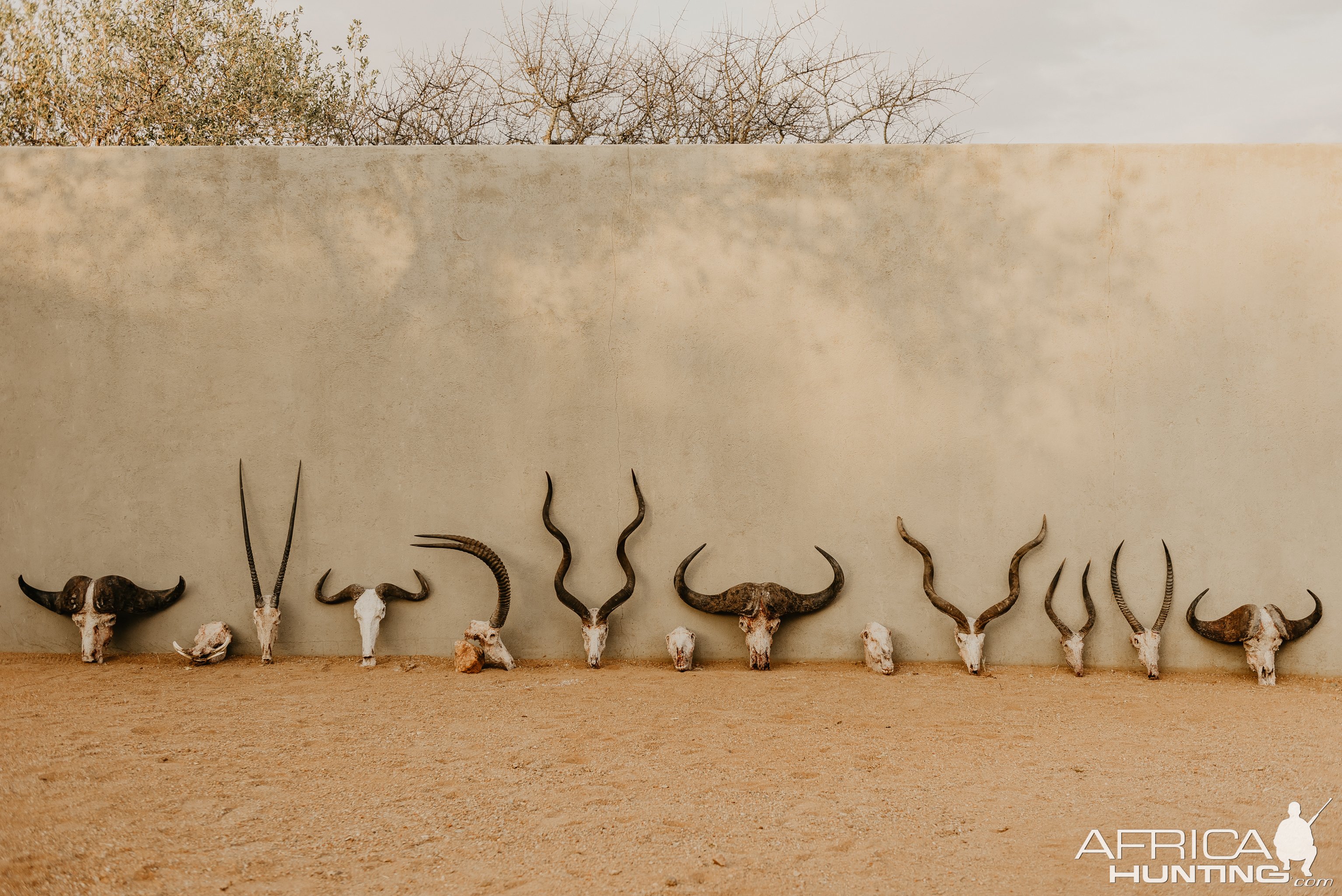 Trophy Hunt | AfricaHunting.com