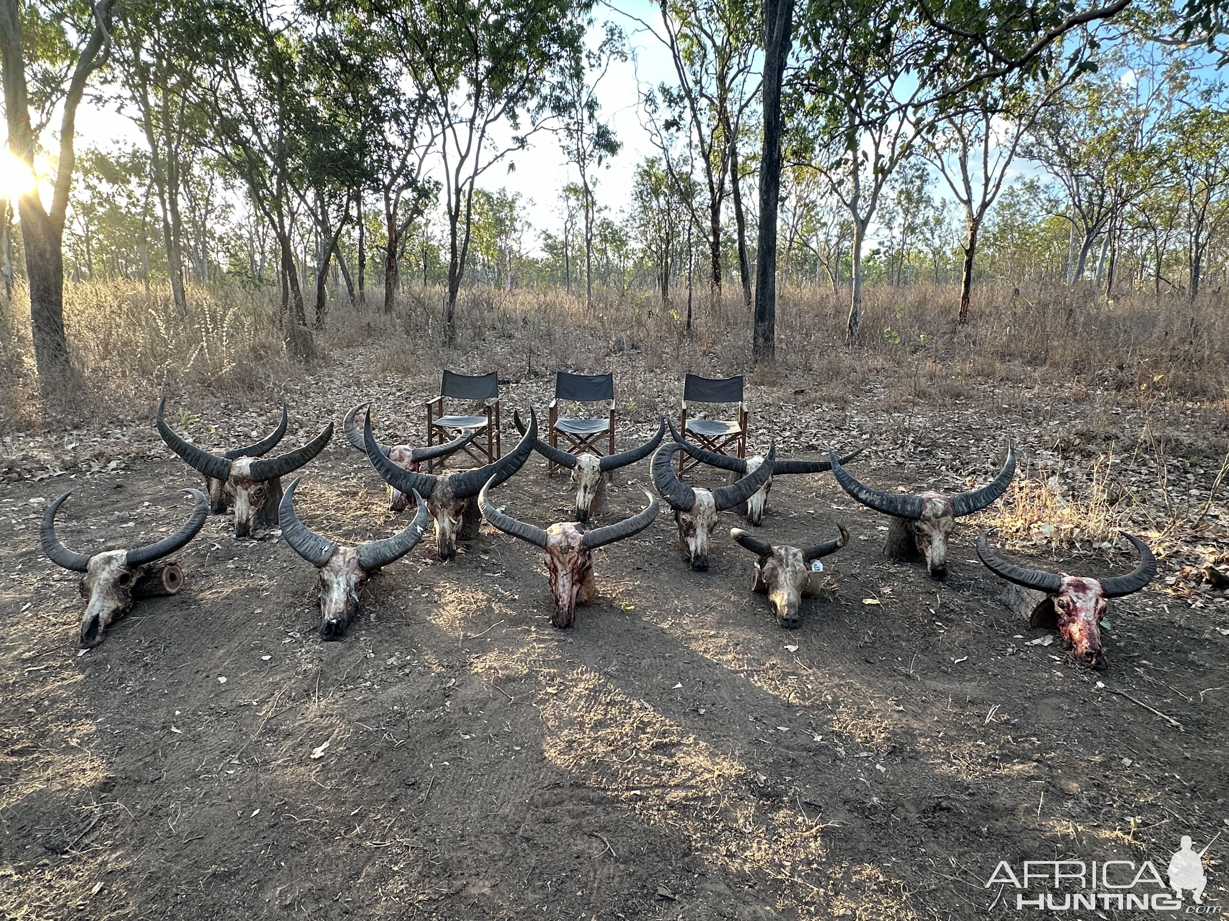 Trophy Hunting Australia