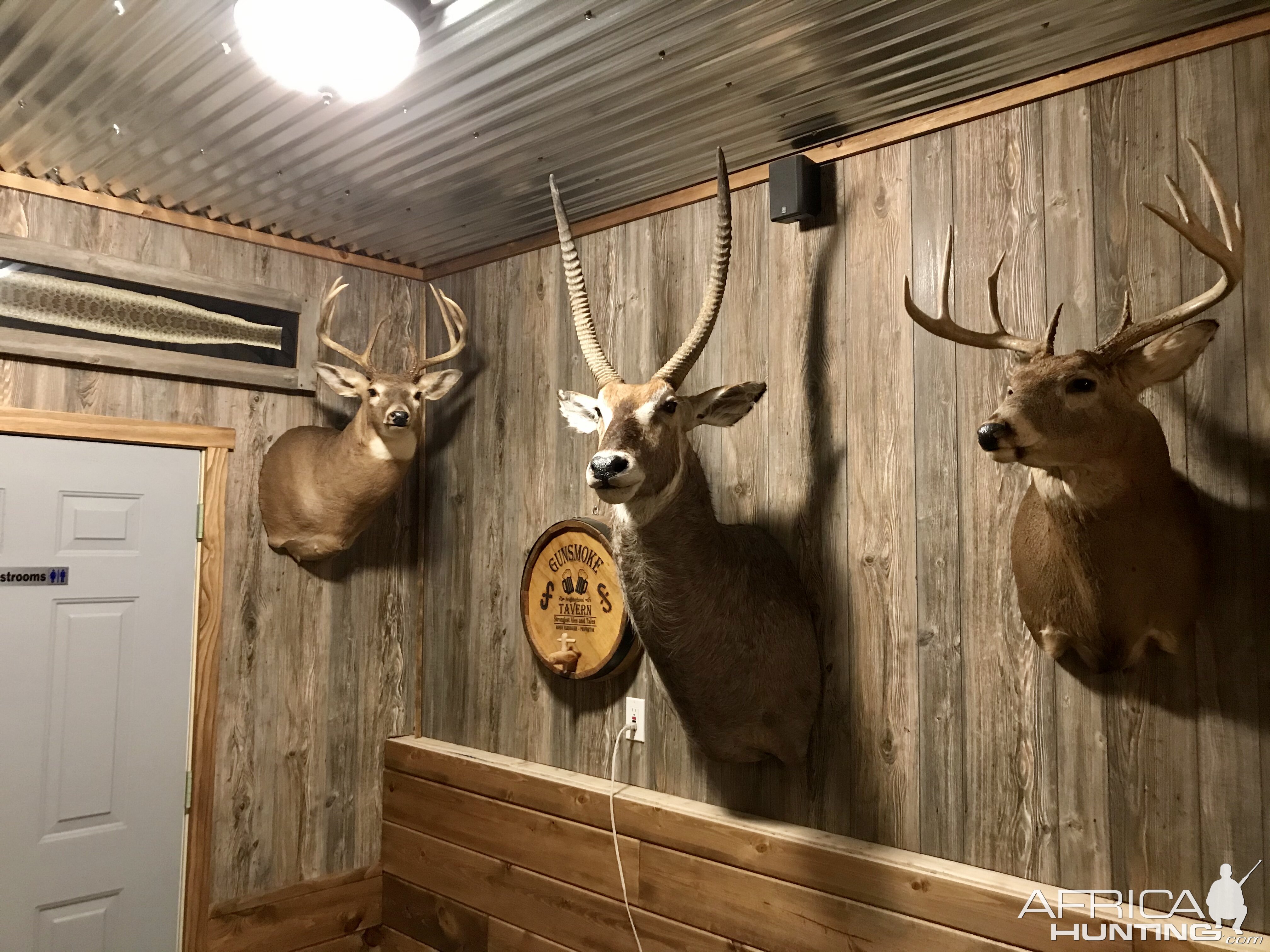 Trophy Room & Bar | AfricaHunting.com