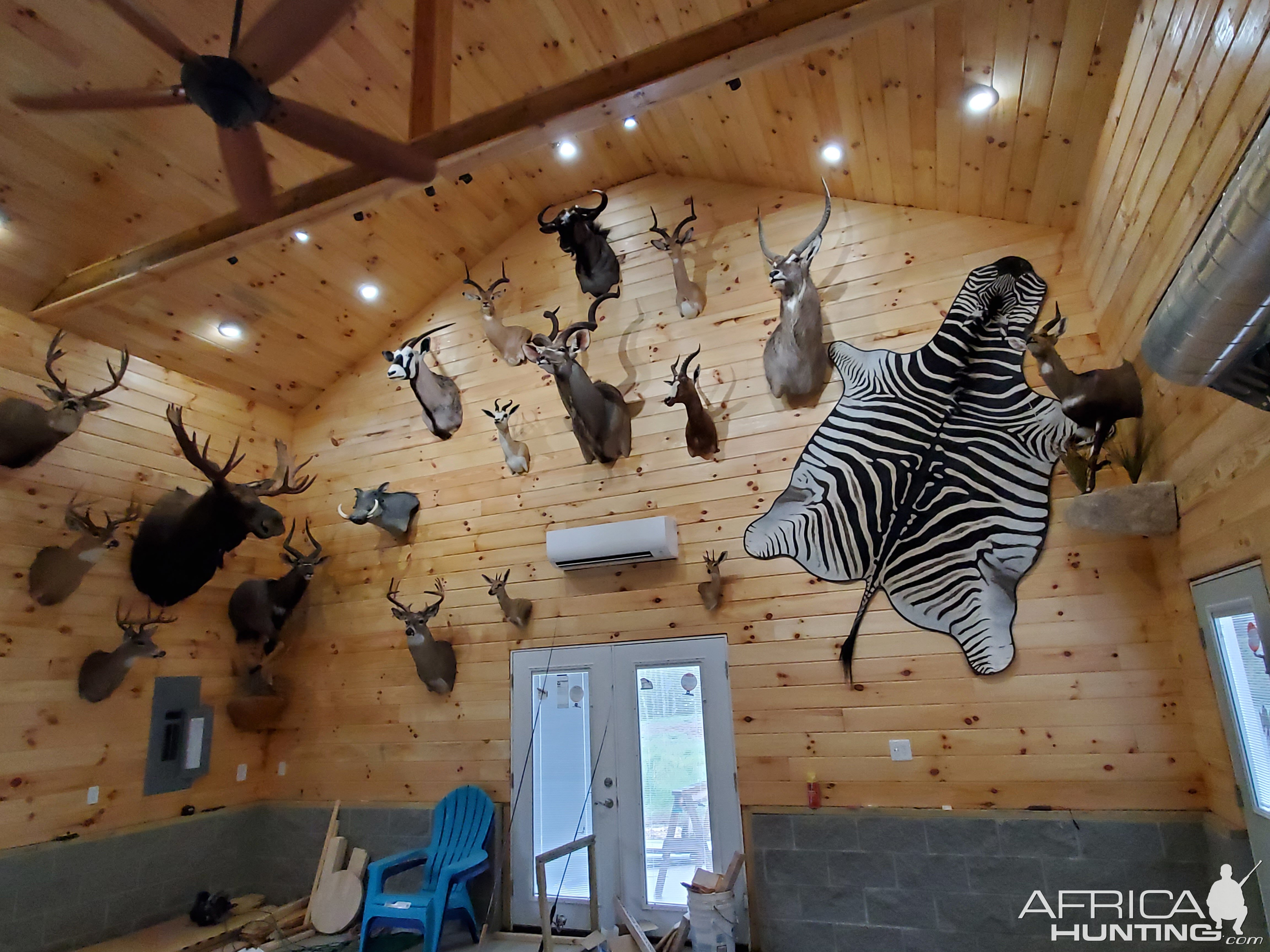 Trophy Room | AfricaHunting.com