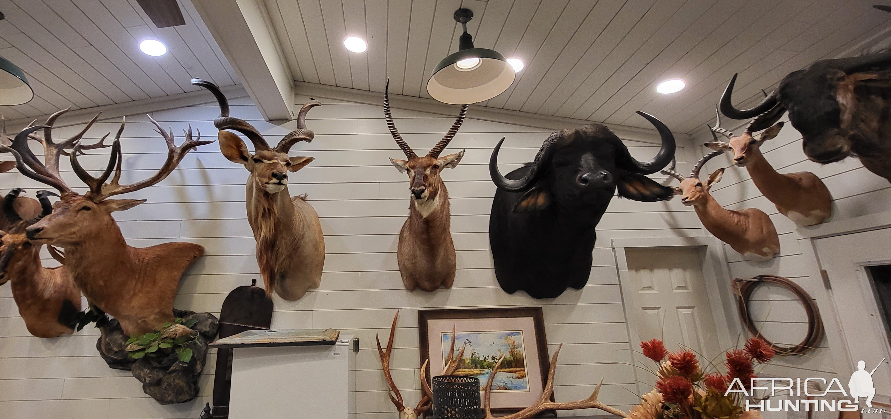 Trophy Room