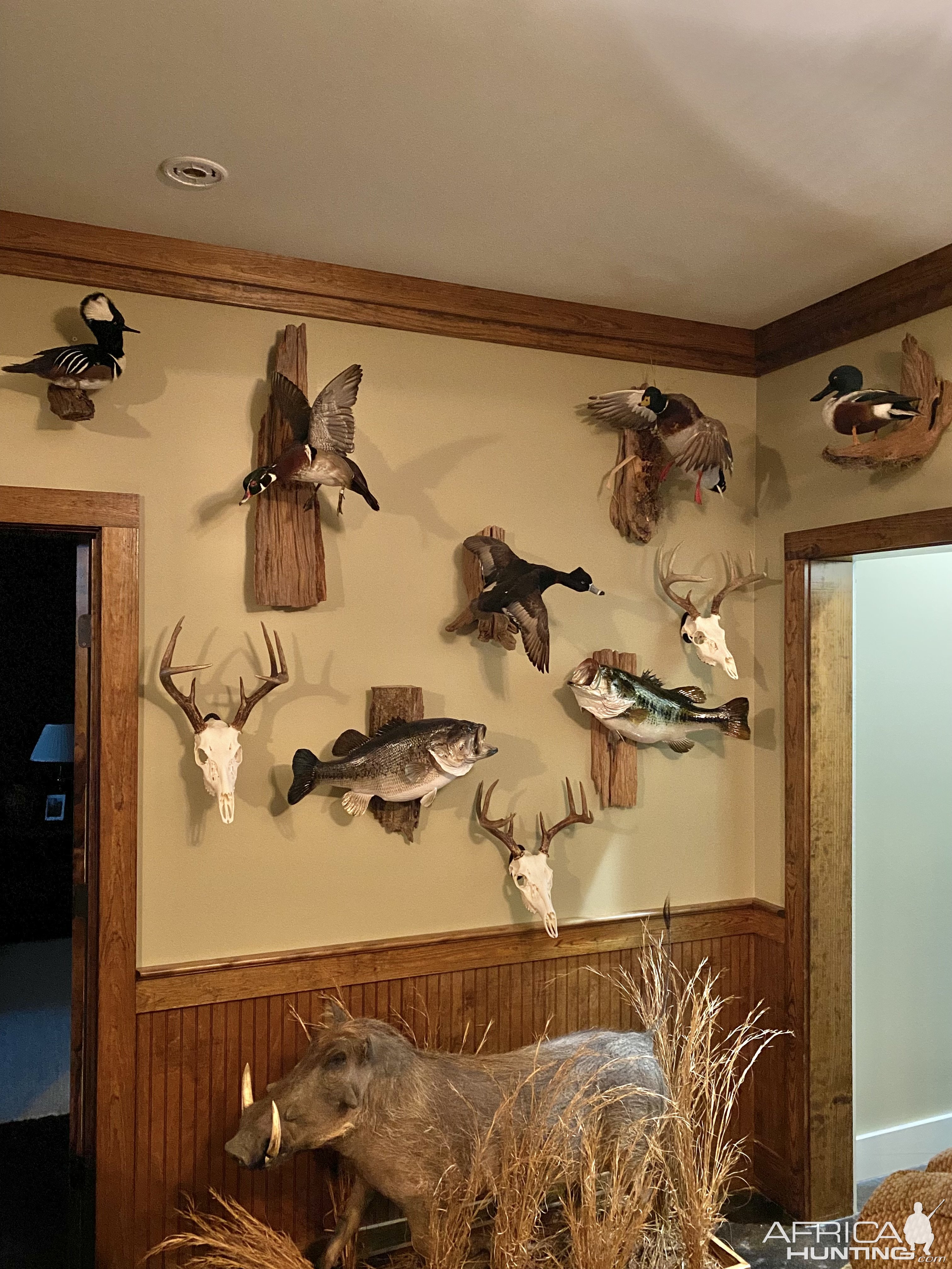 Trophy Room