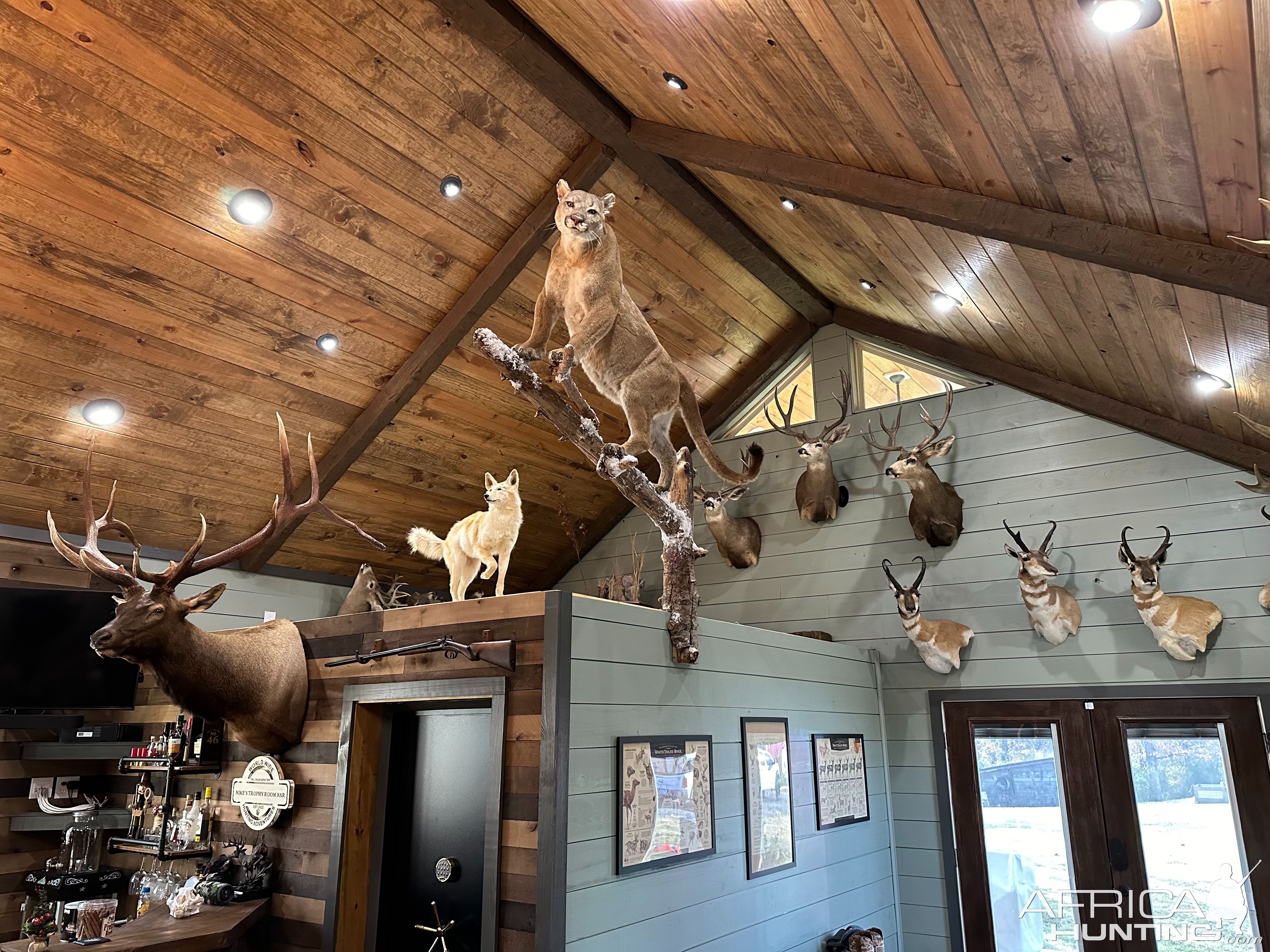 Trophy Room