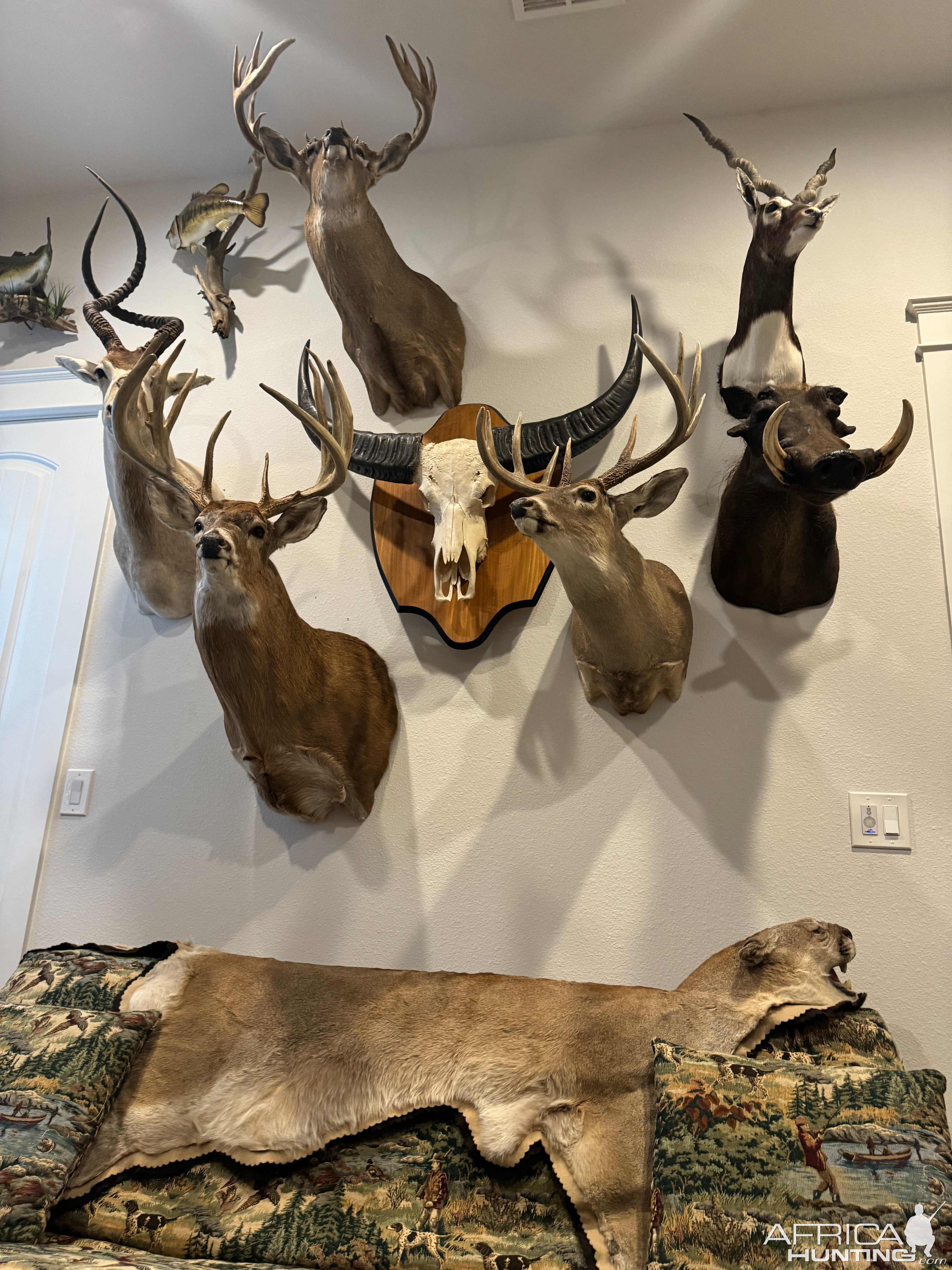 Trophy Room