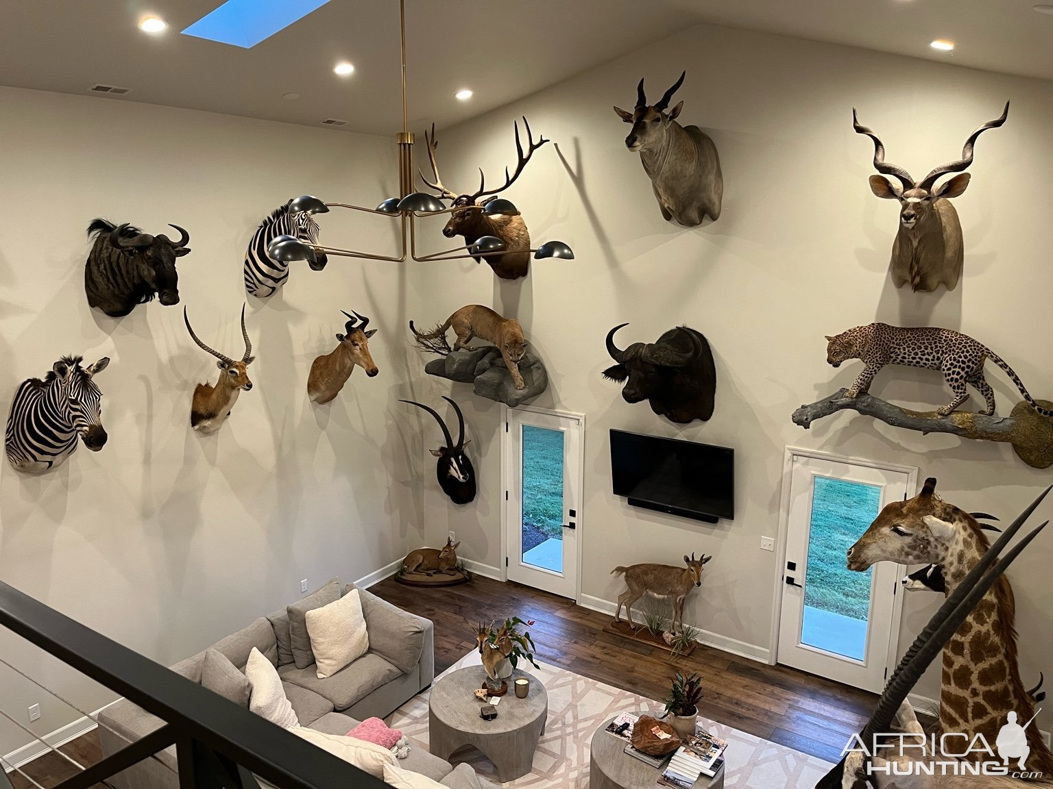 Trophy Room