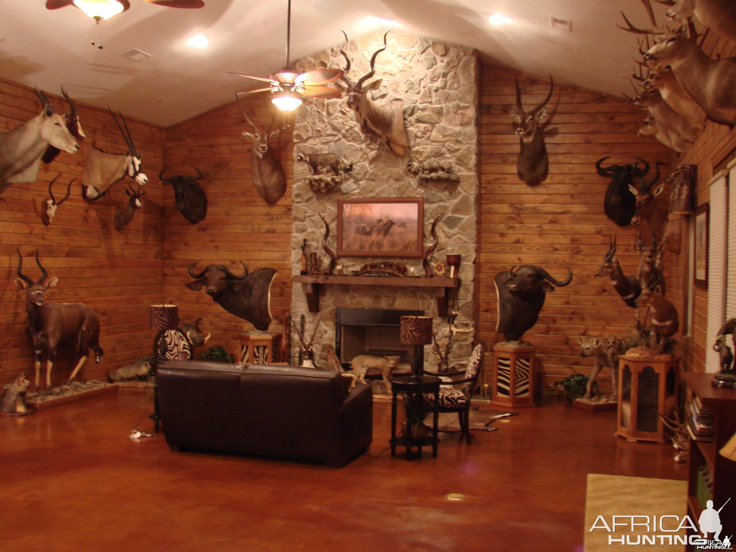 Trophy Room | AfricaHunting.com