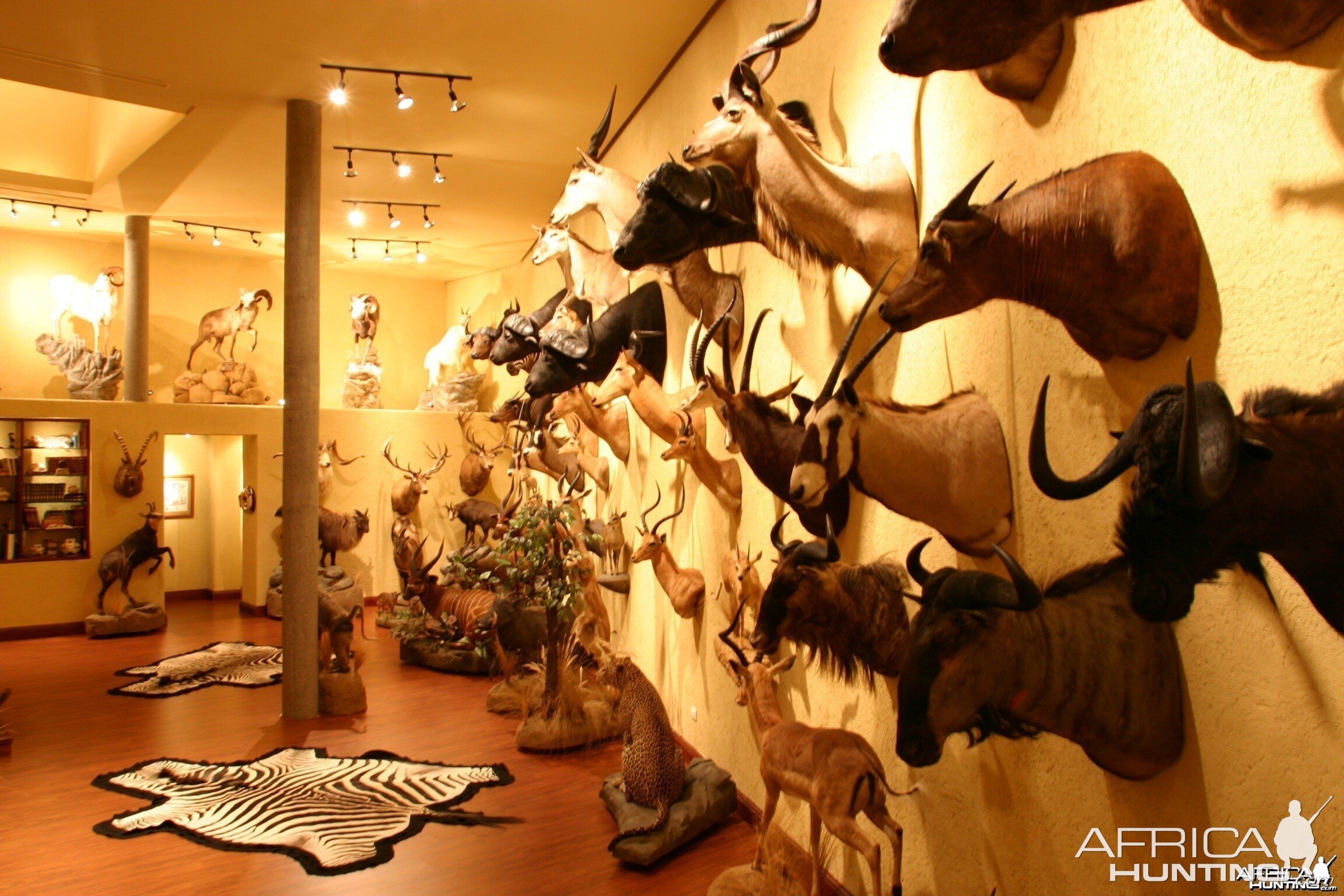 Trophy Room