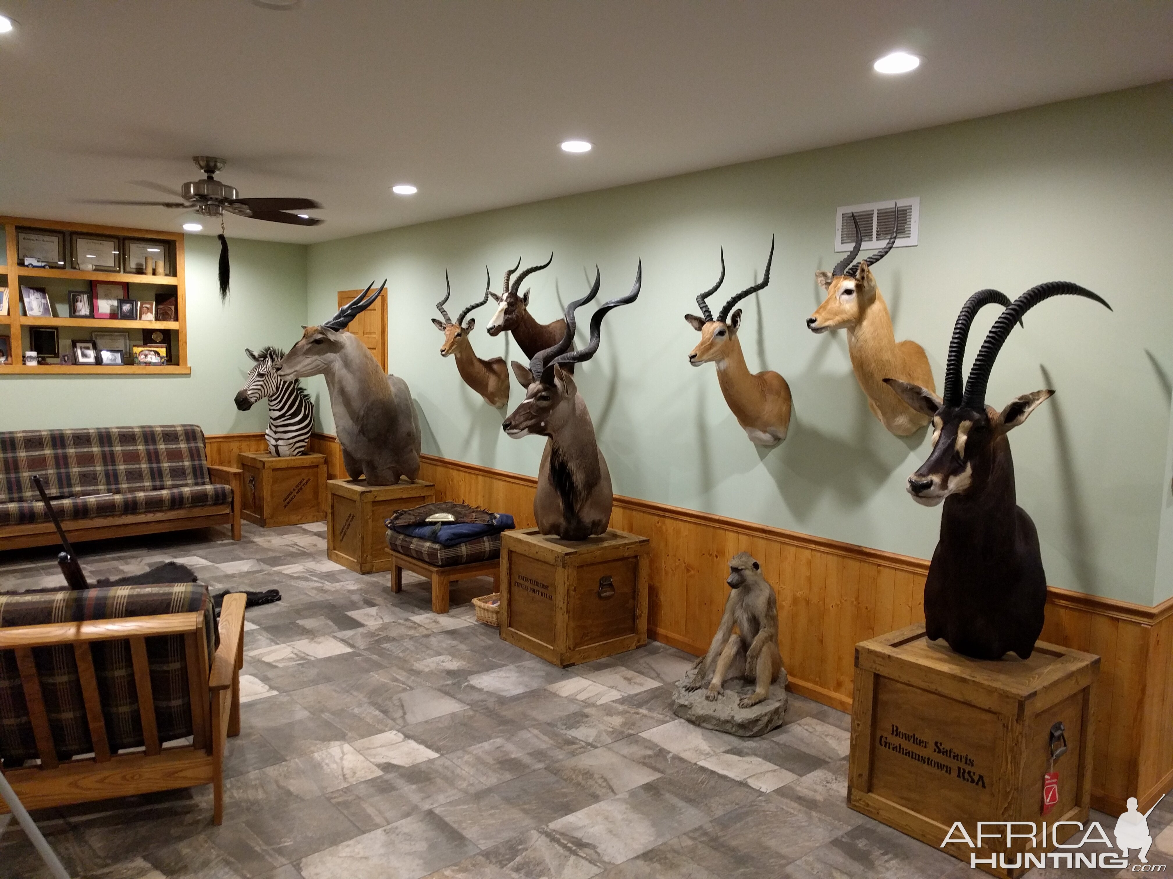 Trophy Room | AfricaHunting.com