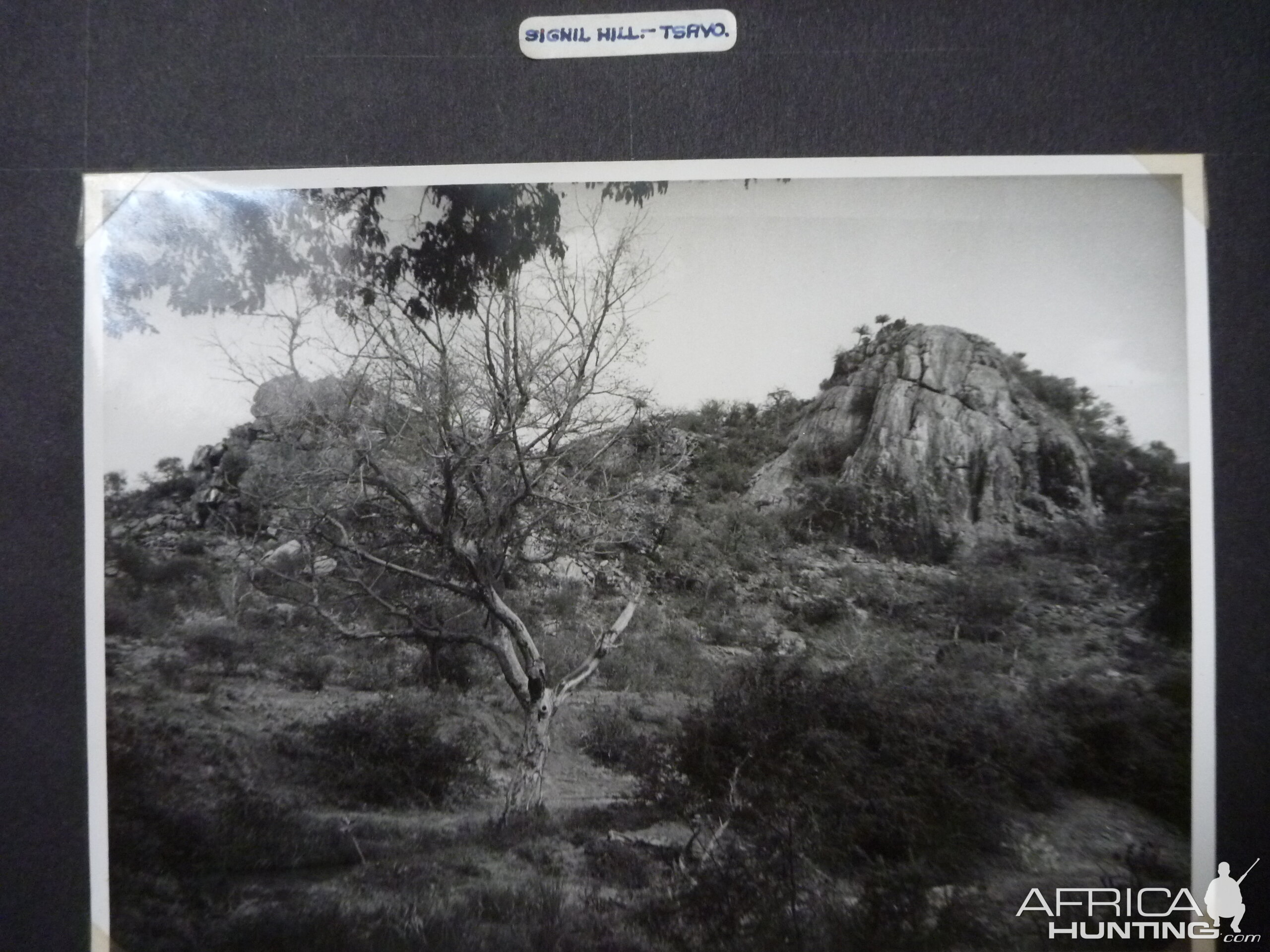 Tsavo Kenya